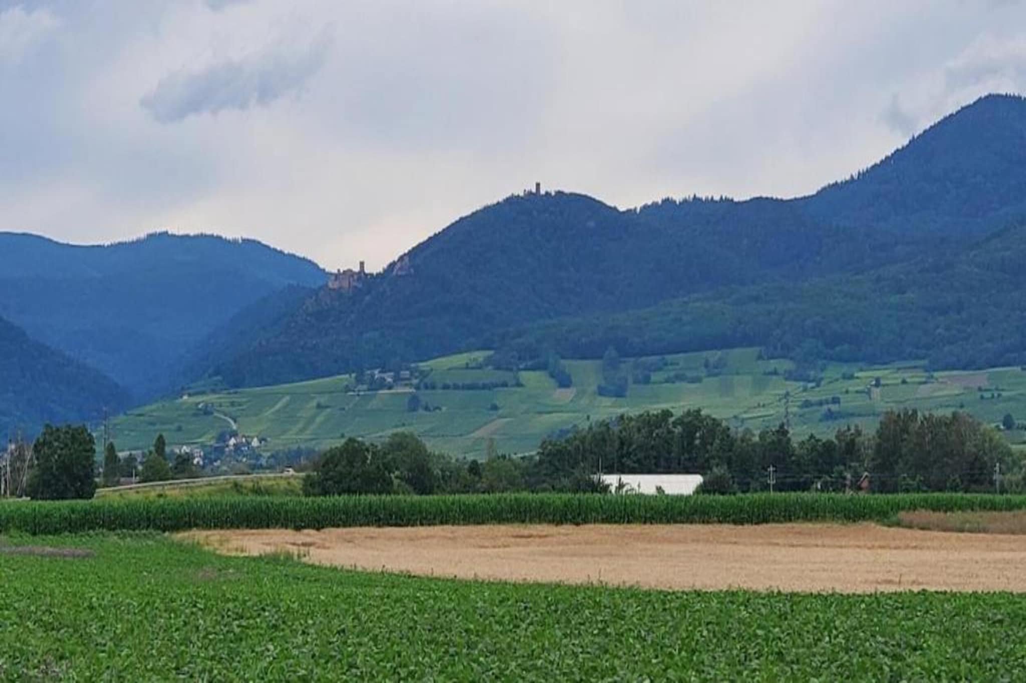 Le Domaine des Rois 2-Areas summer 5km