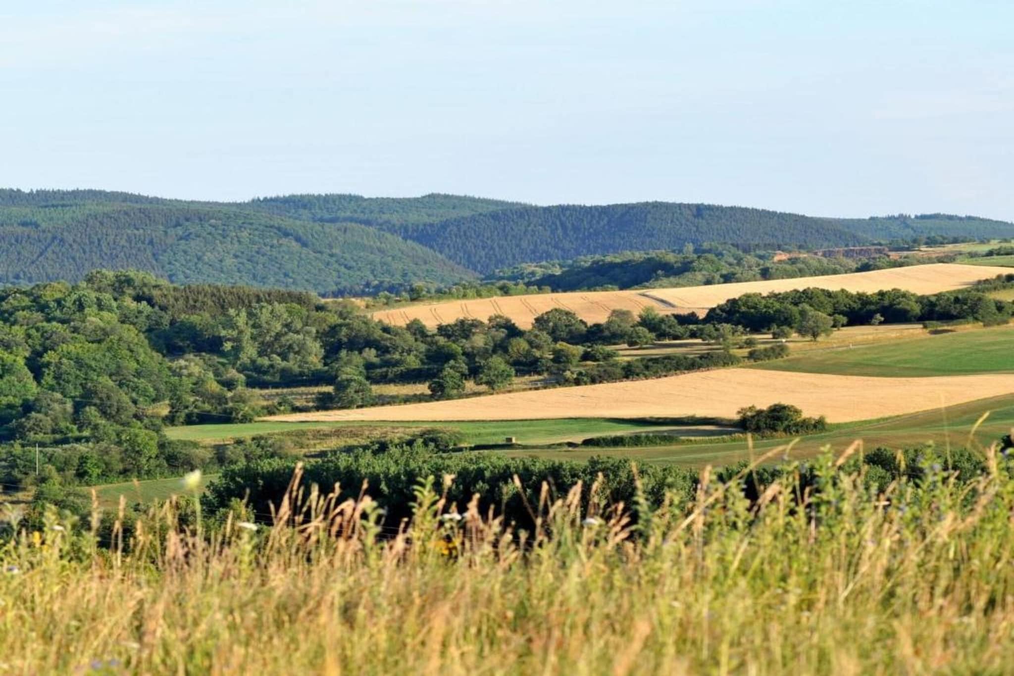 Waldferienpark Gerolstein 2-Gebieden zomer 5km