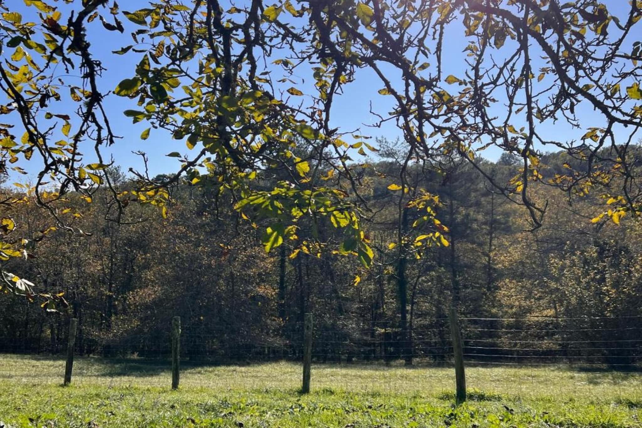 Les Côteaux de Sarlat 3-Gebiete Sommer 5 km