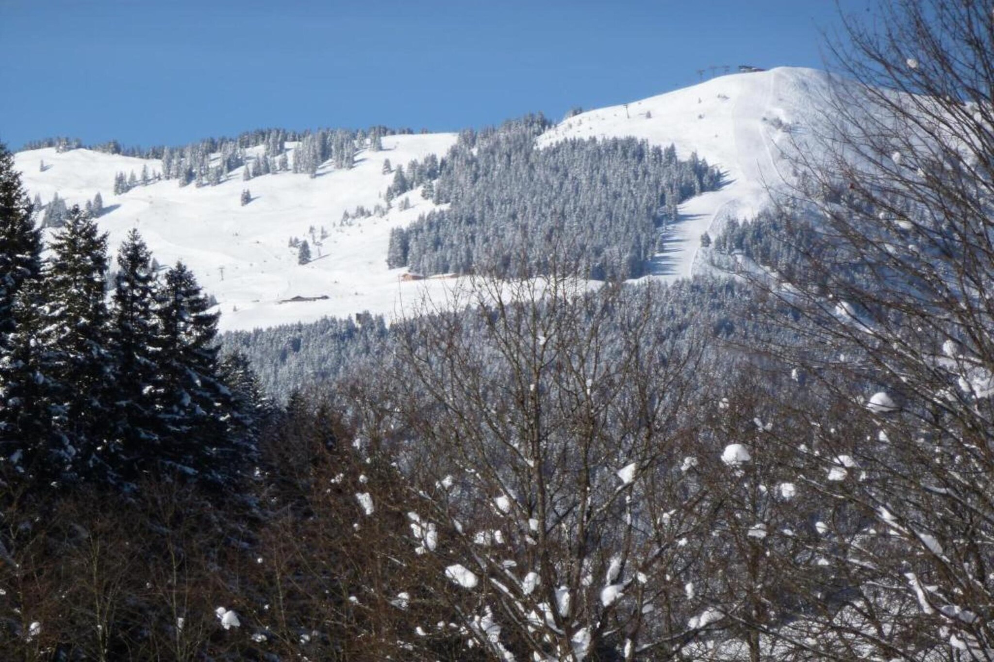 Saalach Appartement 4-Gebied winter 20km