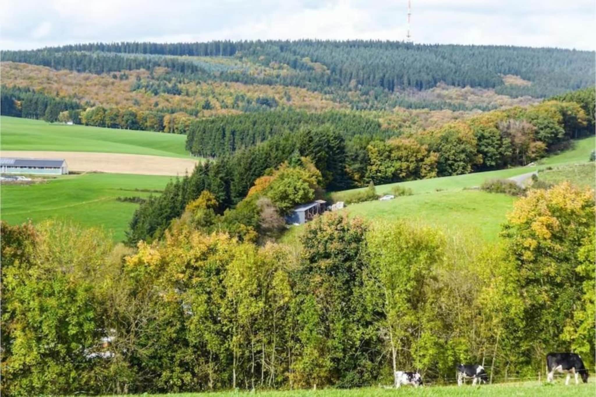 Käthchen'shof-Gebieden zomer 20km