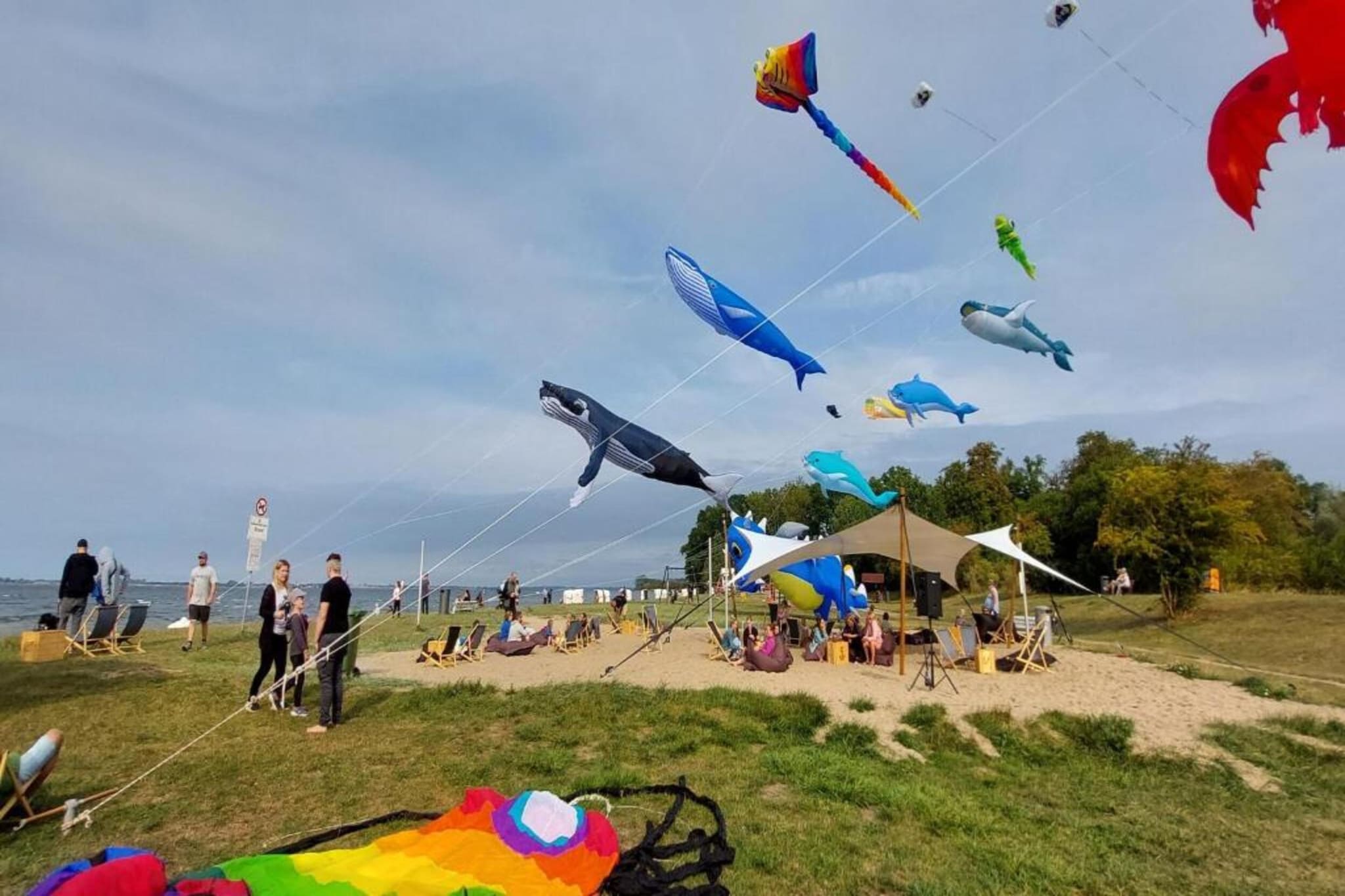 Feriendoppelhaus Bernsteinring Z1-Gebieden zomer 5km