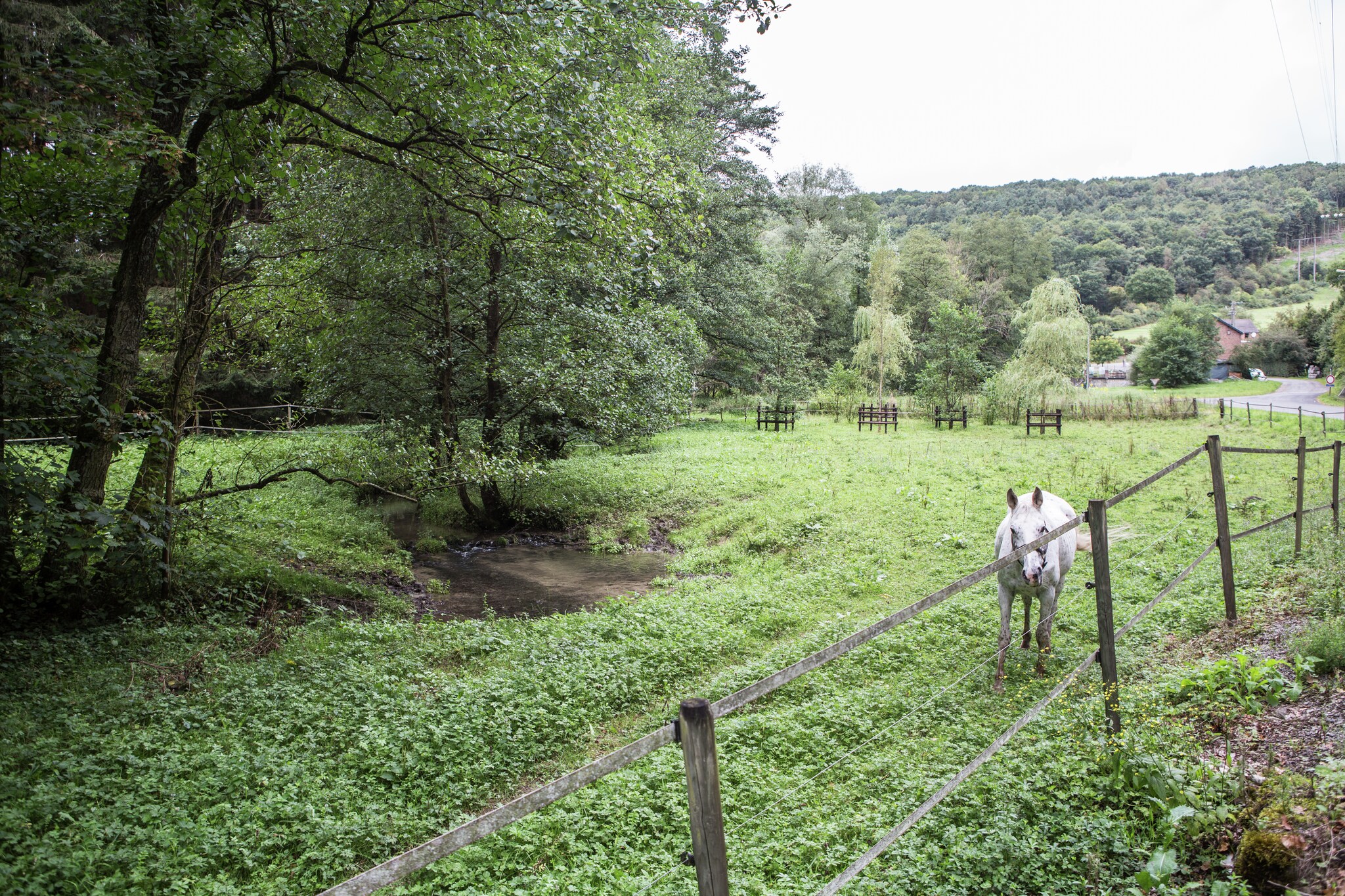 Vakantiehuis Verlaine sur Ourthe max. 7 personen 3 huisdieren 3 slaapkamers #34
