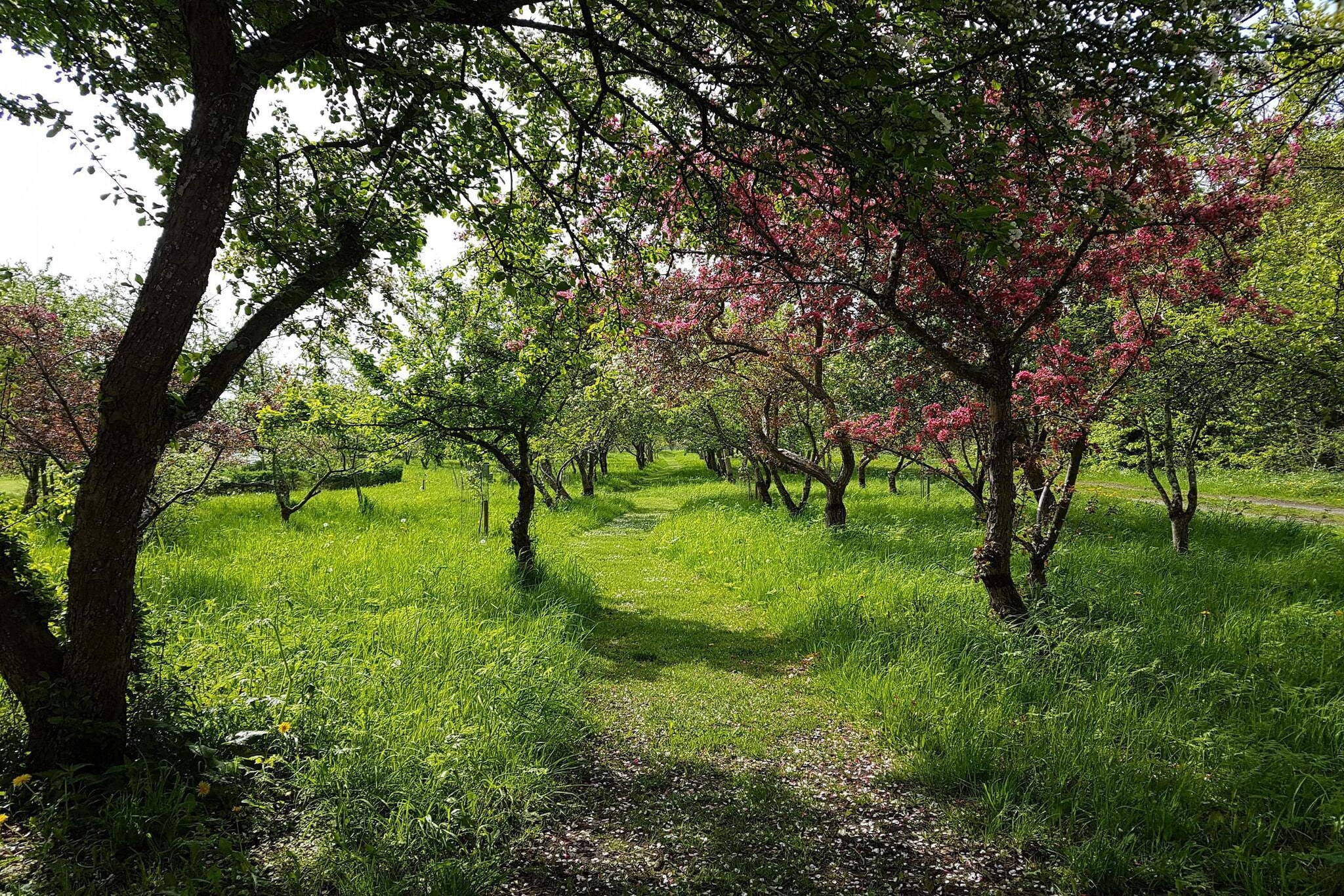 5 person holiday home in SÃ¦by-By Traum