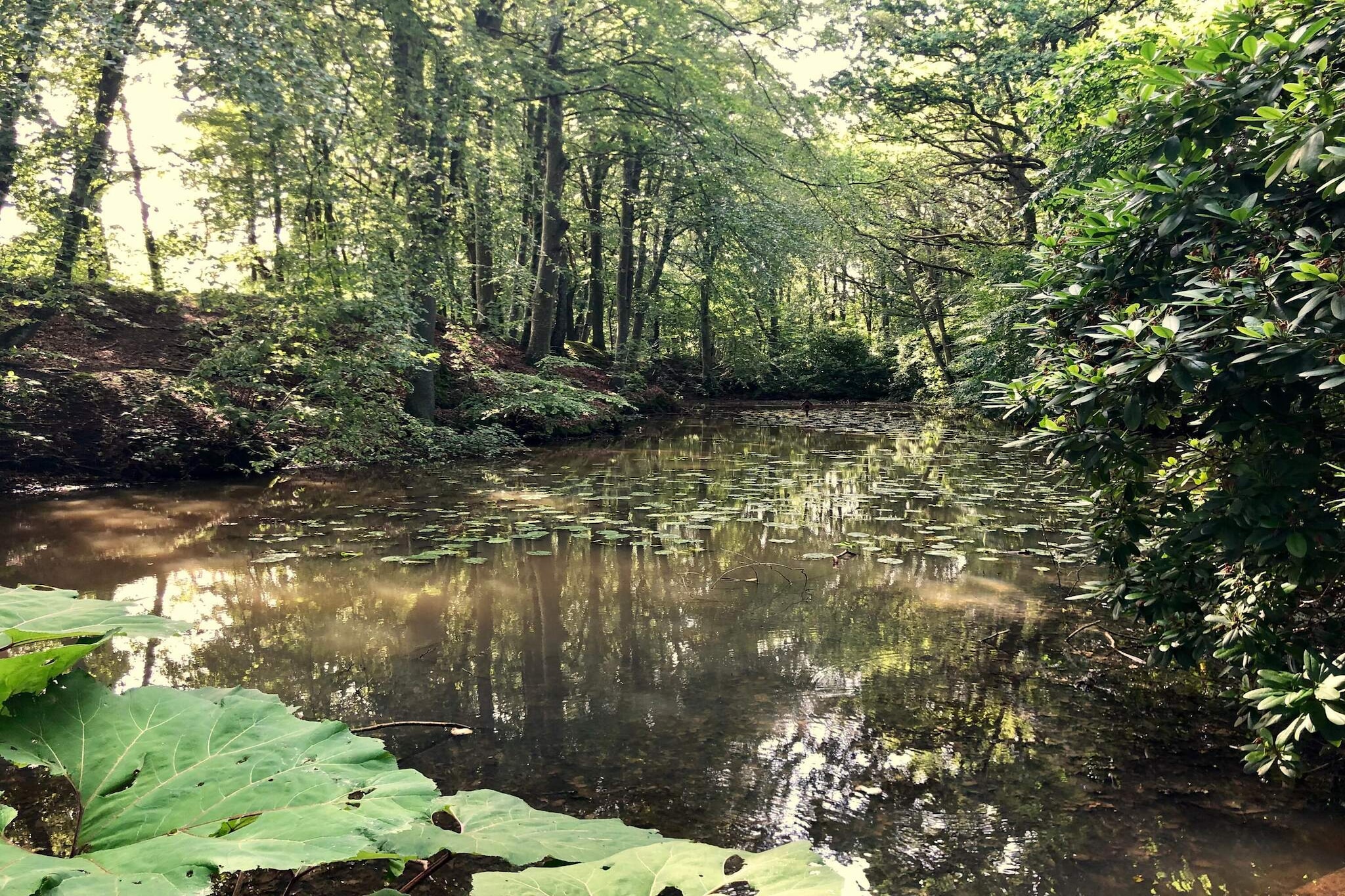 5 person holiday home in Sæby-By Traum