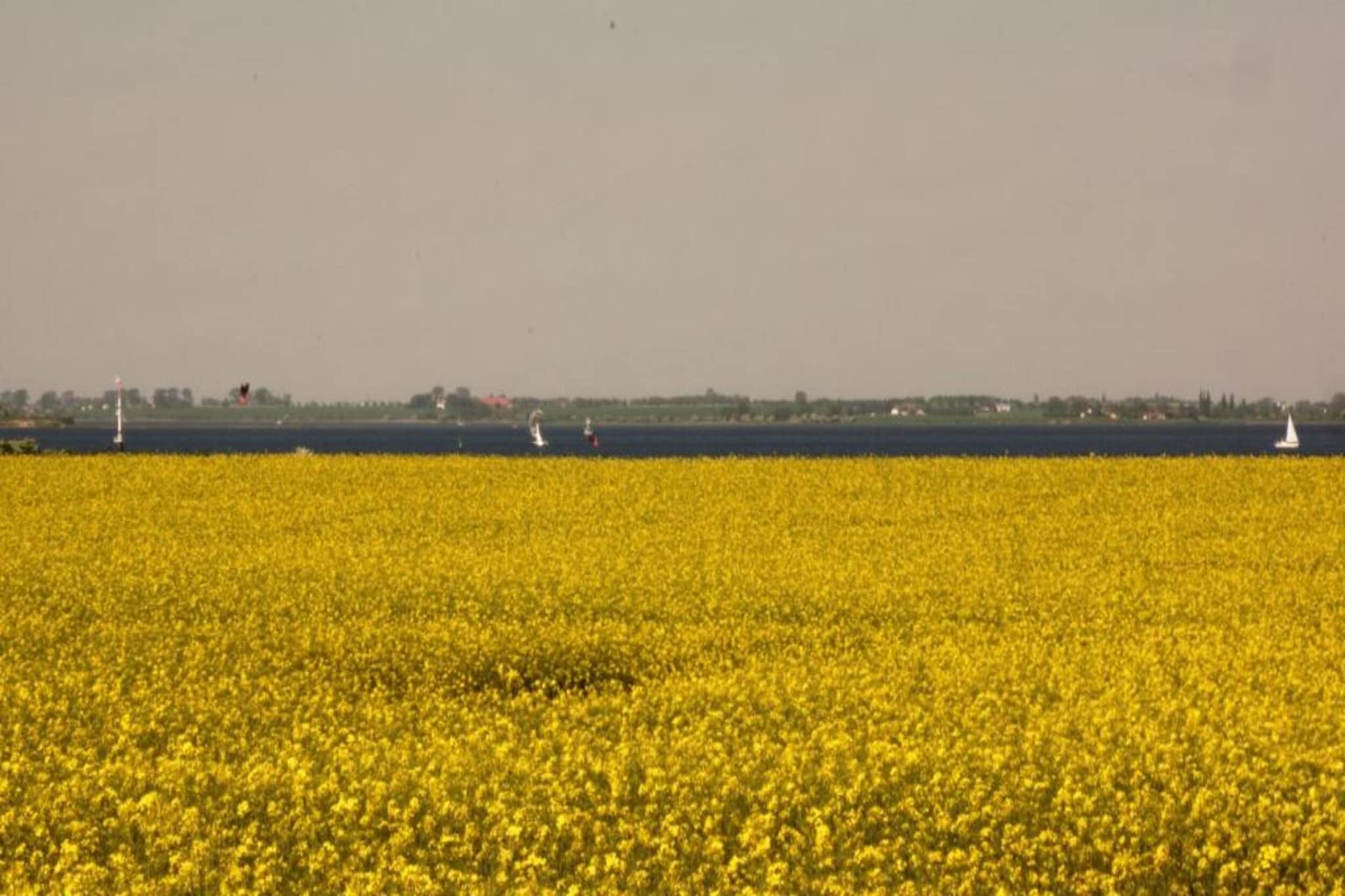 Hofkoppel Z5A-Gebieden zomer 20km