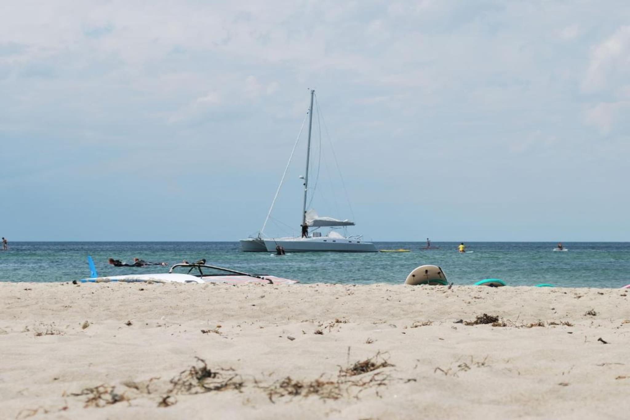 Hofkoppel Z5A-Gebieden zomer 1km