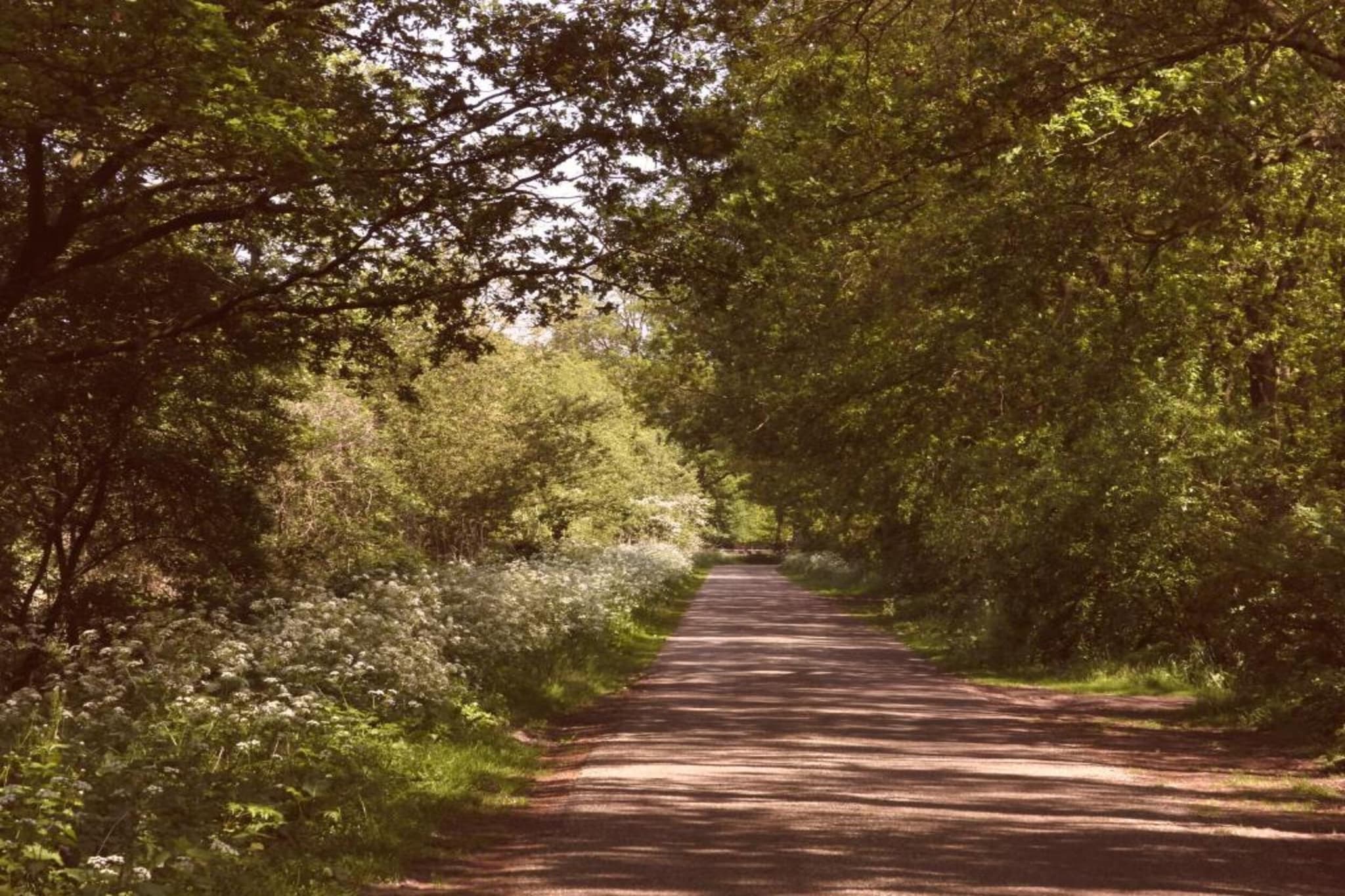 Vakantiecentrum 't Schuttenbelt 1-Gebiete Sommer 20 km