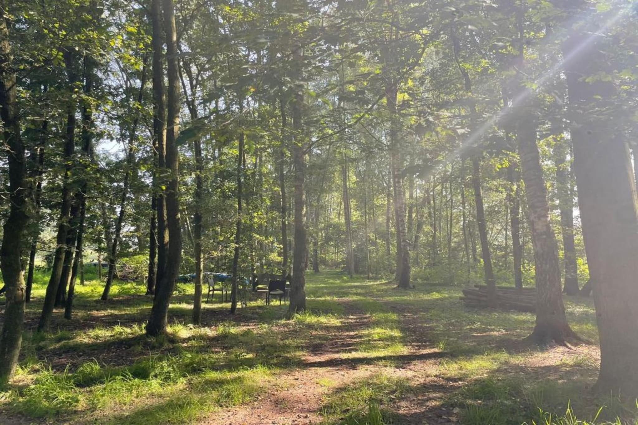 Vakantiecentrum 't Schuttenbelt 1-Gebiete Sommer 20 km