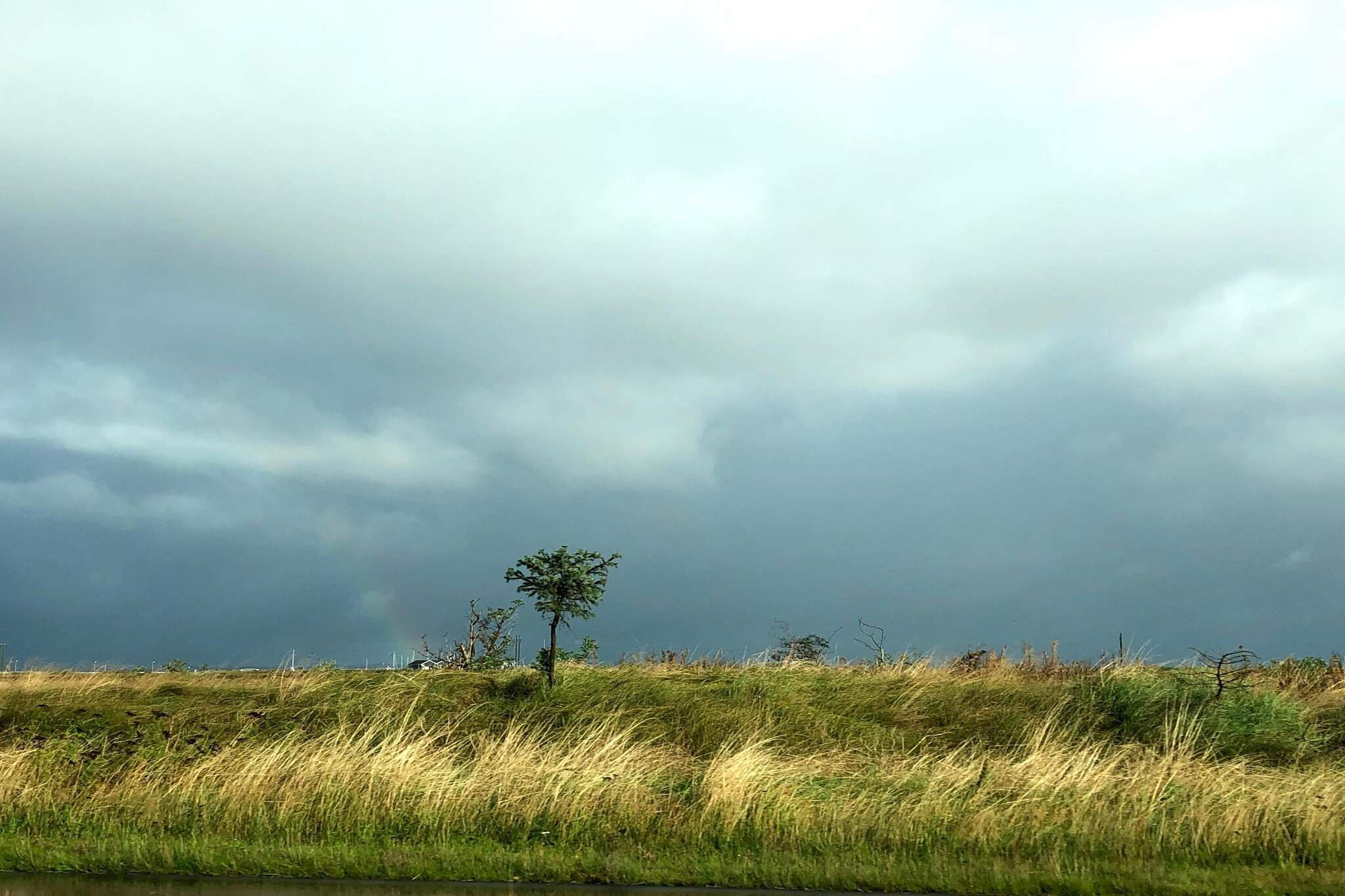 Holiday home located approx. 500 m from the Limfjord and next door to a large common area with playground, petanque court and table and bench set. The house's terrace is located opposite the common area and thus you have ample opportunity for privacy. The cottage has an open kitchen / living room with access to the terrace. The living room has comfortable furniture, flat screen TV, internet, radio and stereo with CD player. There is a wood burning stove for a cool summer evening or an autumn evening with rain and debris. The kitchen has i.a. ceramic hob, cooker hood and coffee machine. Bathroom with bathing area, shower and washing machine. There are three bedrooms, one with a double bed and two rooms each with a sofa bed for two people. Not for rent to youth groups.
A refundable deposit might be charged closer to your check-in date. This deposit covers utilities consumed during your stay and any additional services that may be taken. The final amount will be adjusted based on actual meter readings, actual usage of extra services, and any remaining balance will be refunded within 21 days after checkout.