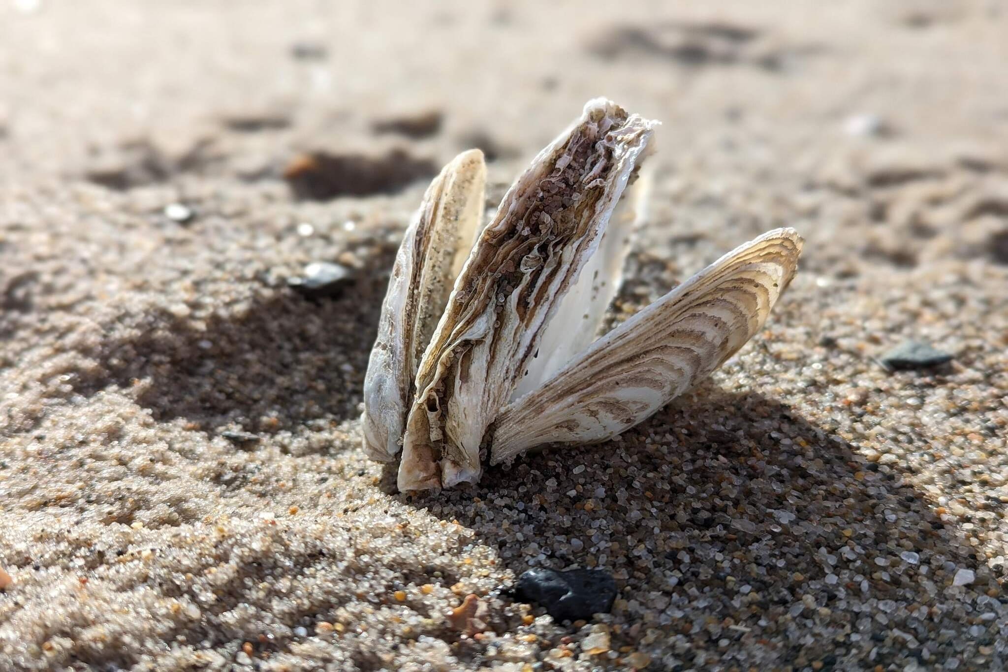 5 person holiday home in Vinderup-By Traum