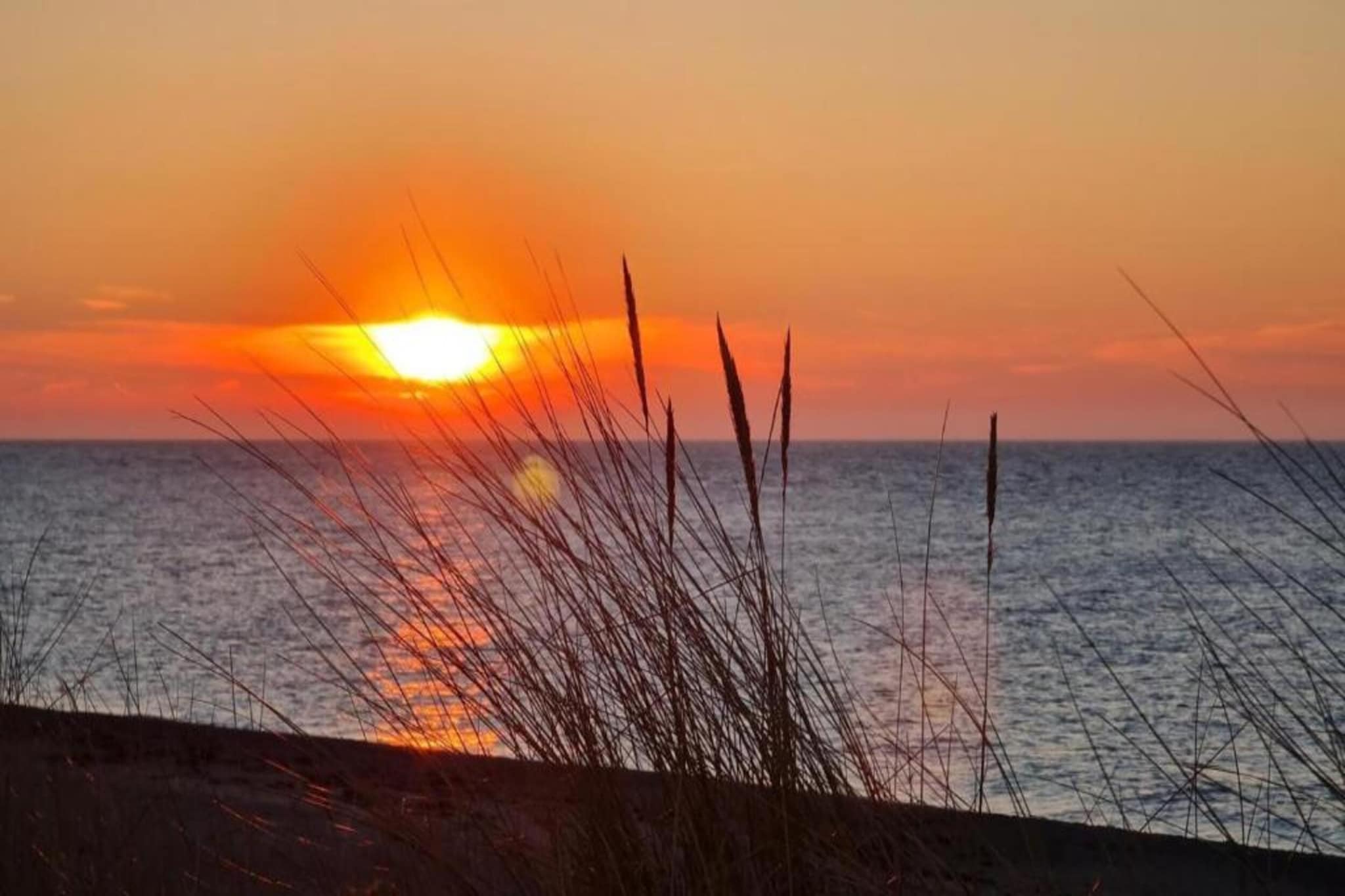 Strandnahe Ferien-Gebieden zomer 5km