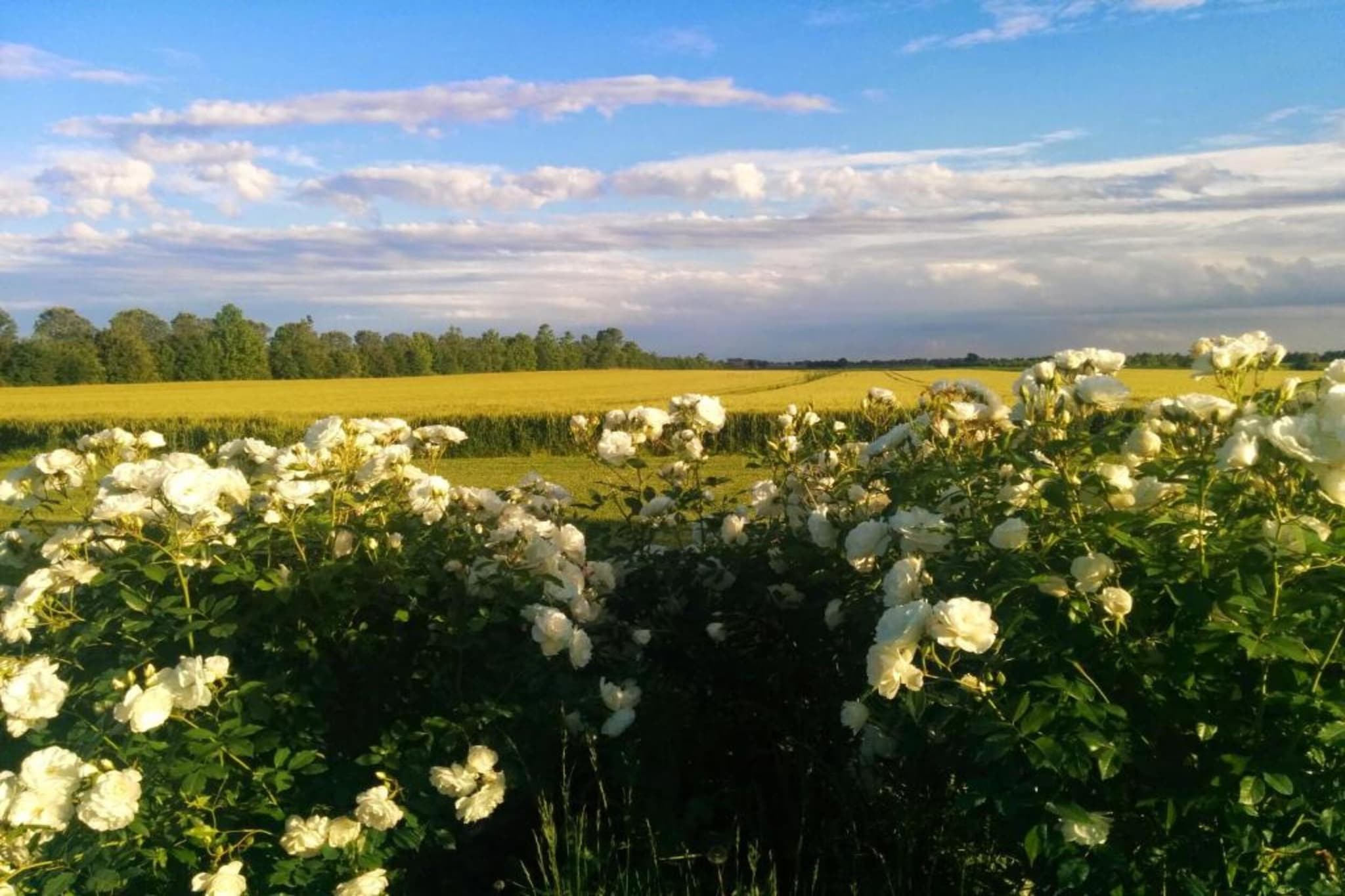 Casa Campagnola Uno-Gebiete Sommer 5 km