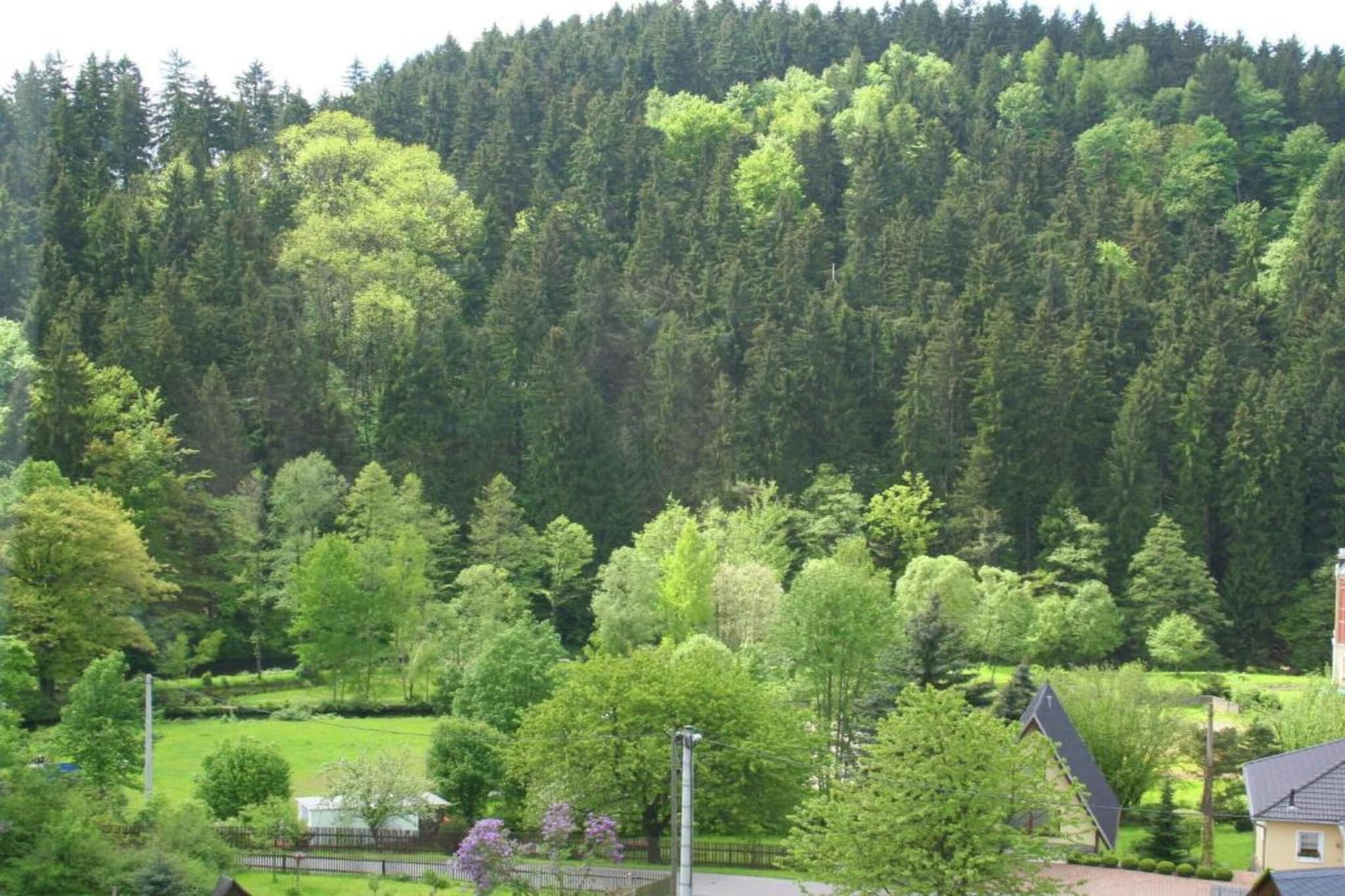 Villa im Erzgebirge-Gebieden zomer 20km