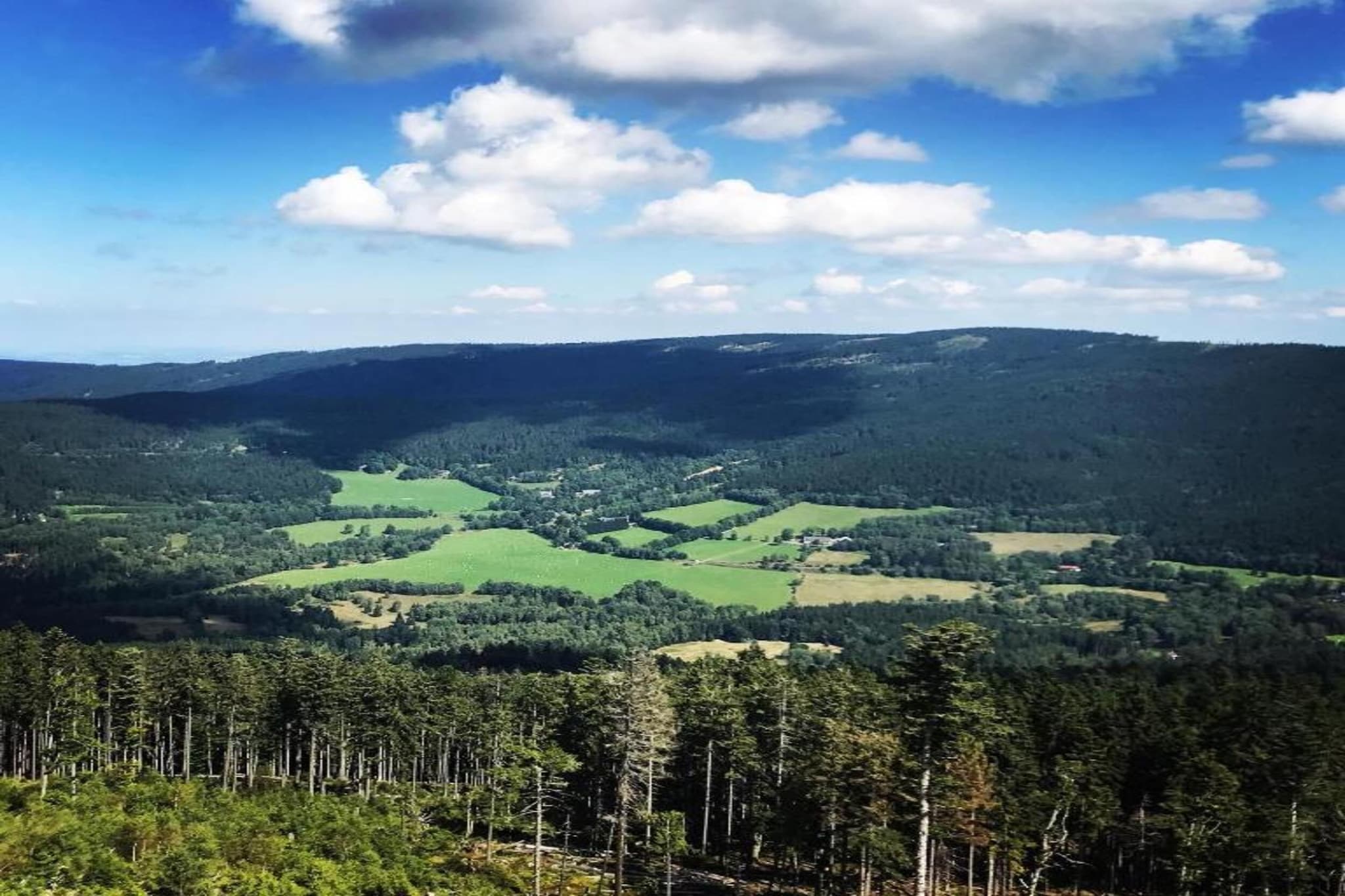 Kammerstein-Gebieden zomer 20km