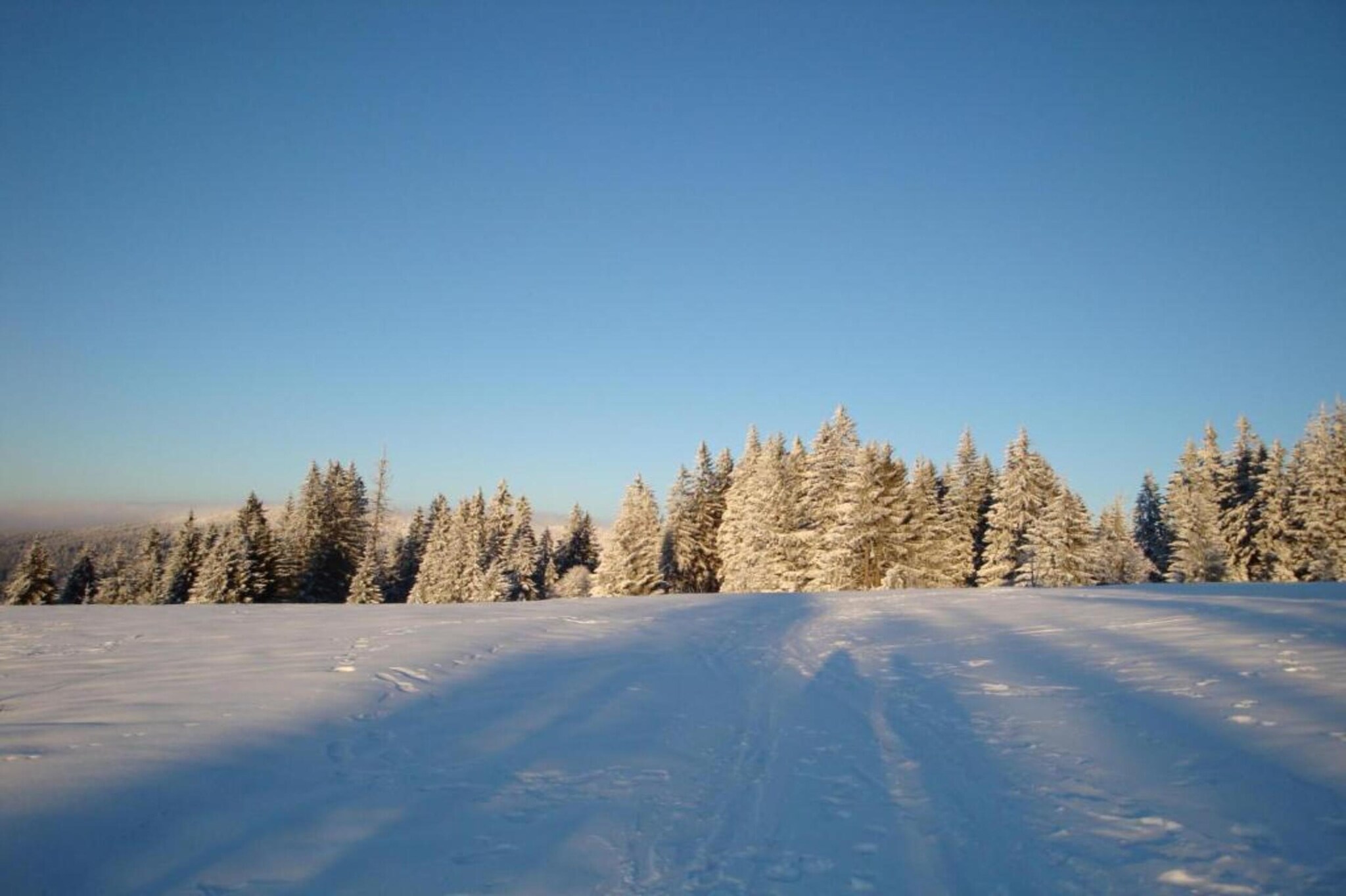 Kammerstein-Gebied winter 20km