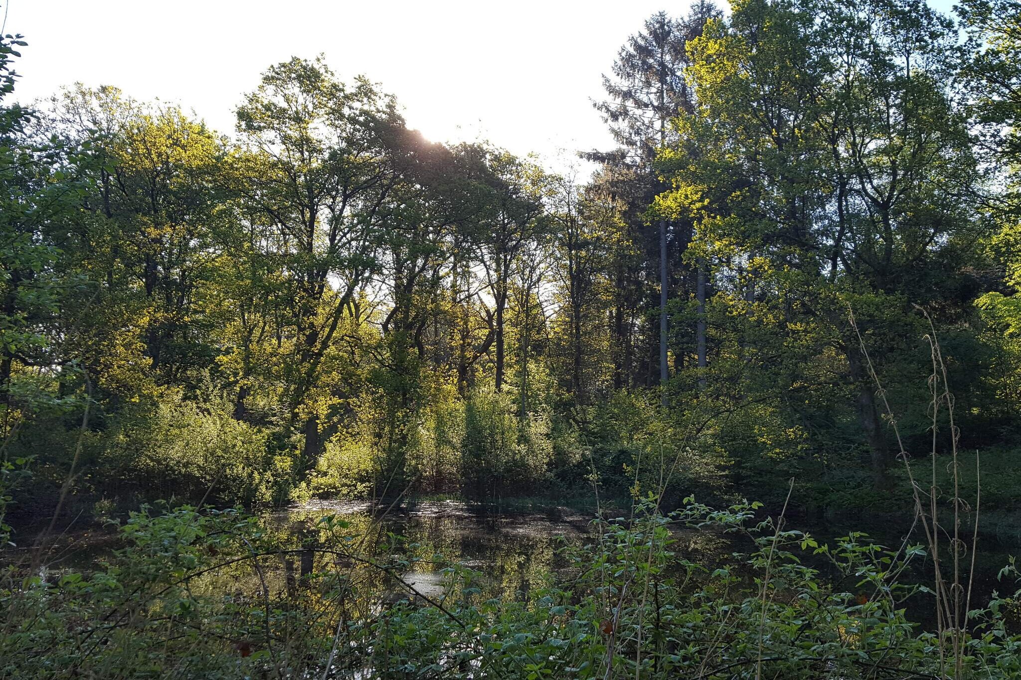 30 persoons vakantie huis in Ebeltoft-By Traum