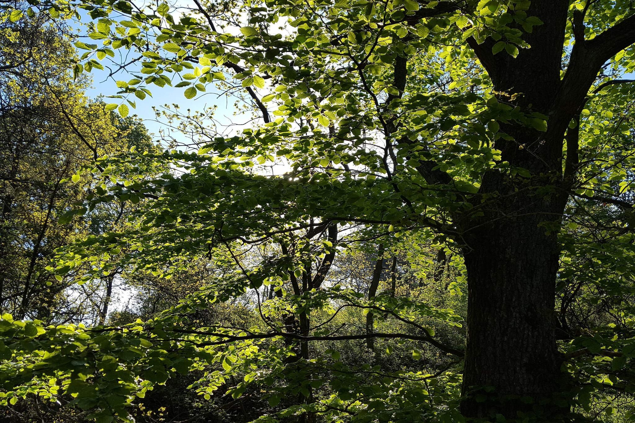 30 Personen Ferienhaus in Ebeltoft-By Traum