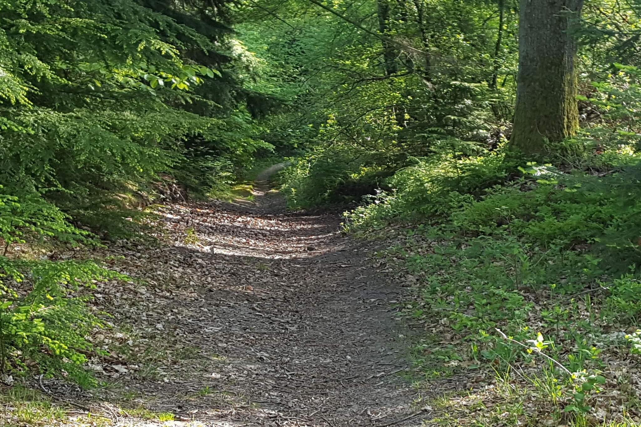 30 Personen Ferienhaus in Ebeltoft-By Traum-Nicht zugeordnet
