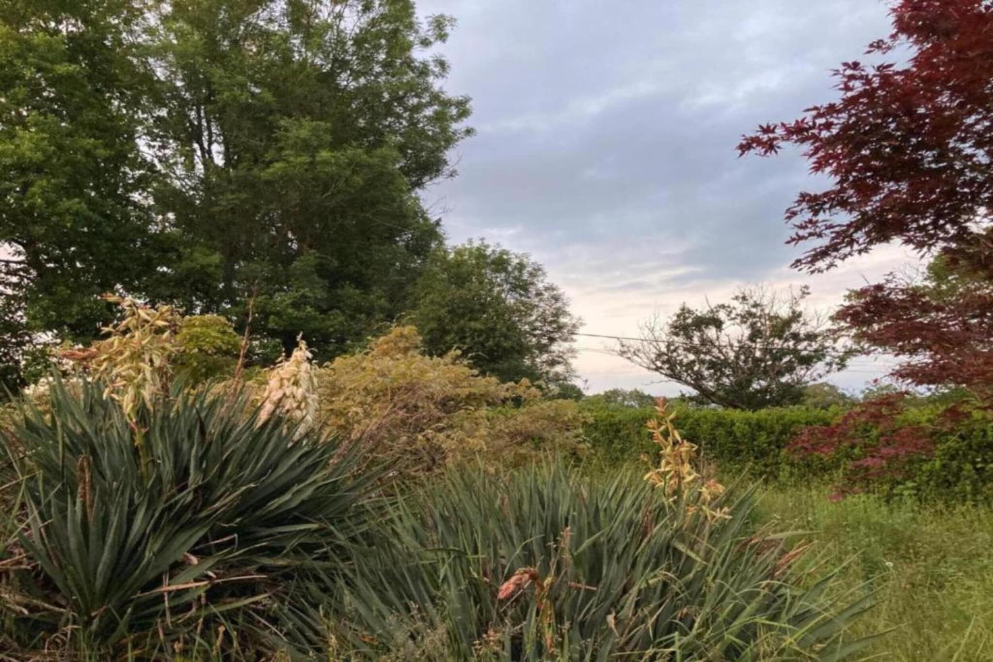 Villa 8 pers piscine-Gebieden zomer 20km