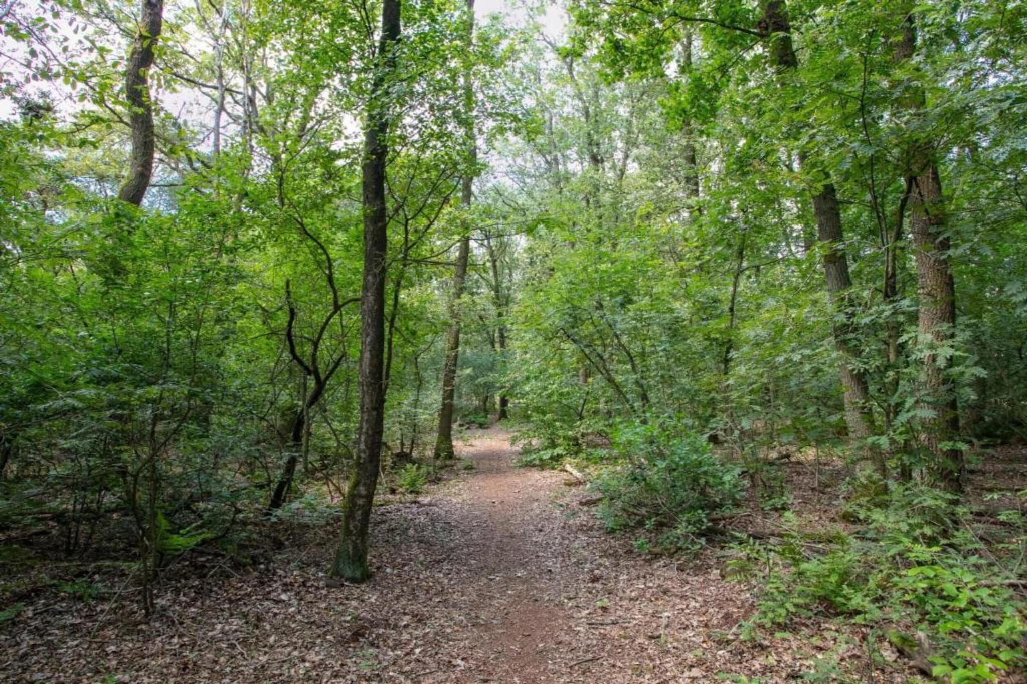 Vakantiepark Schaijk 3-Gebieden zomer 5km