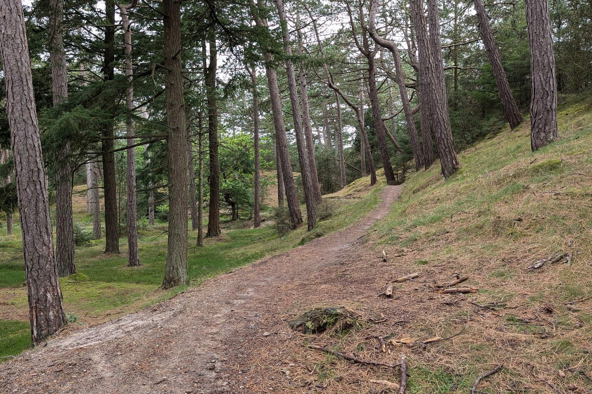 4 persoons vakantie huis in Oksbøl-By Traum-Niet-getagd