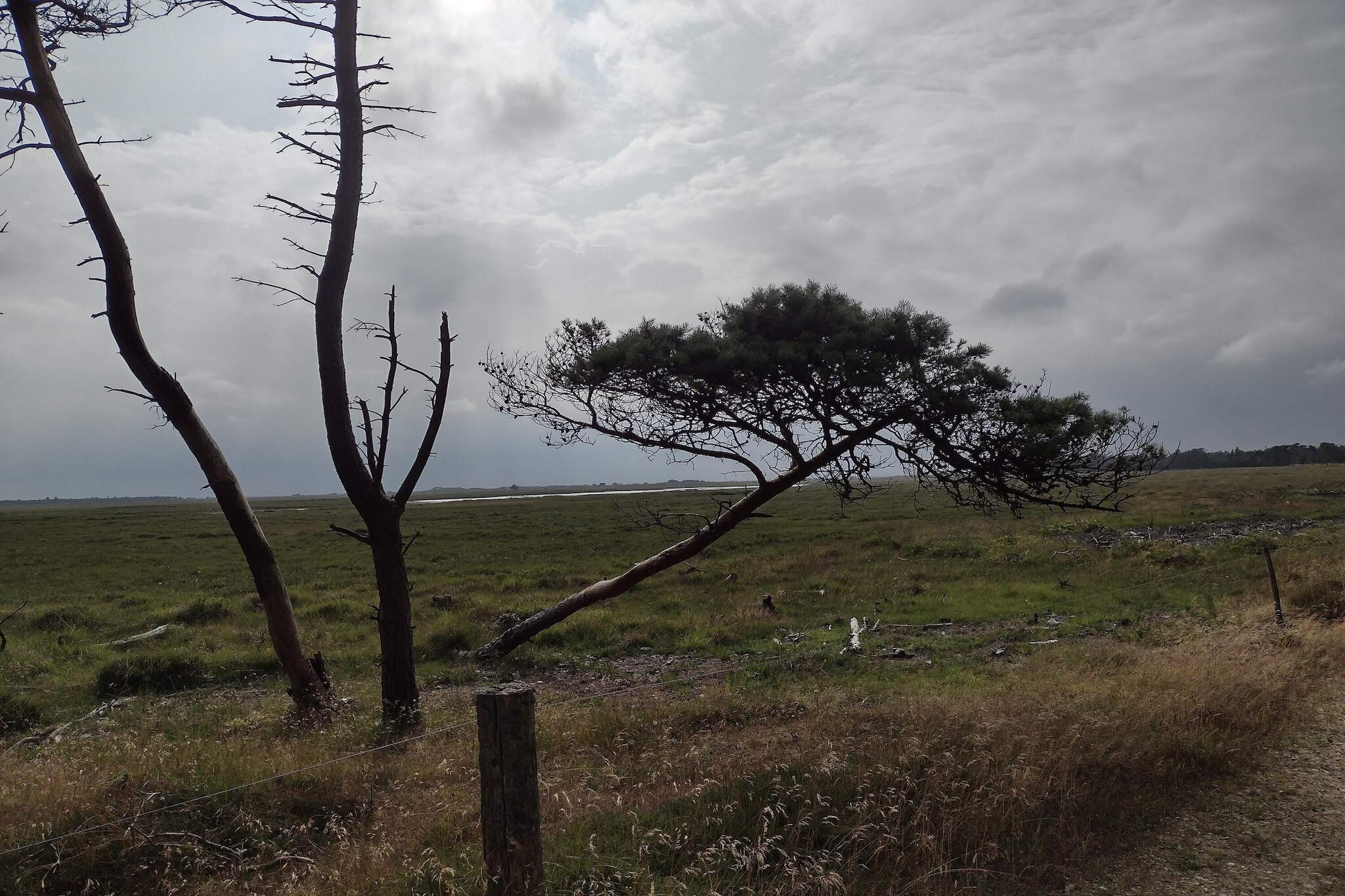 4 persoons vakantie huis in Oksbøl-By Traum-Niet-getagd