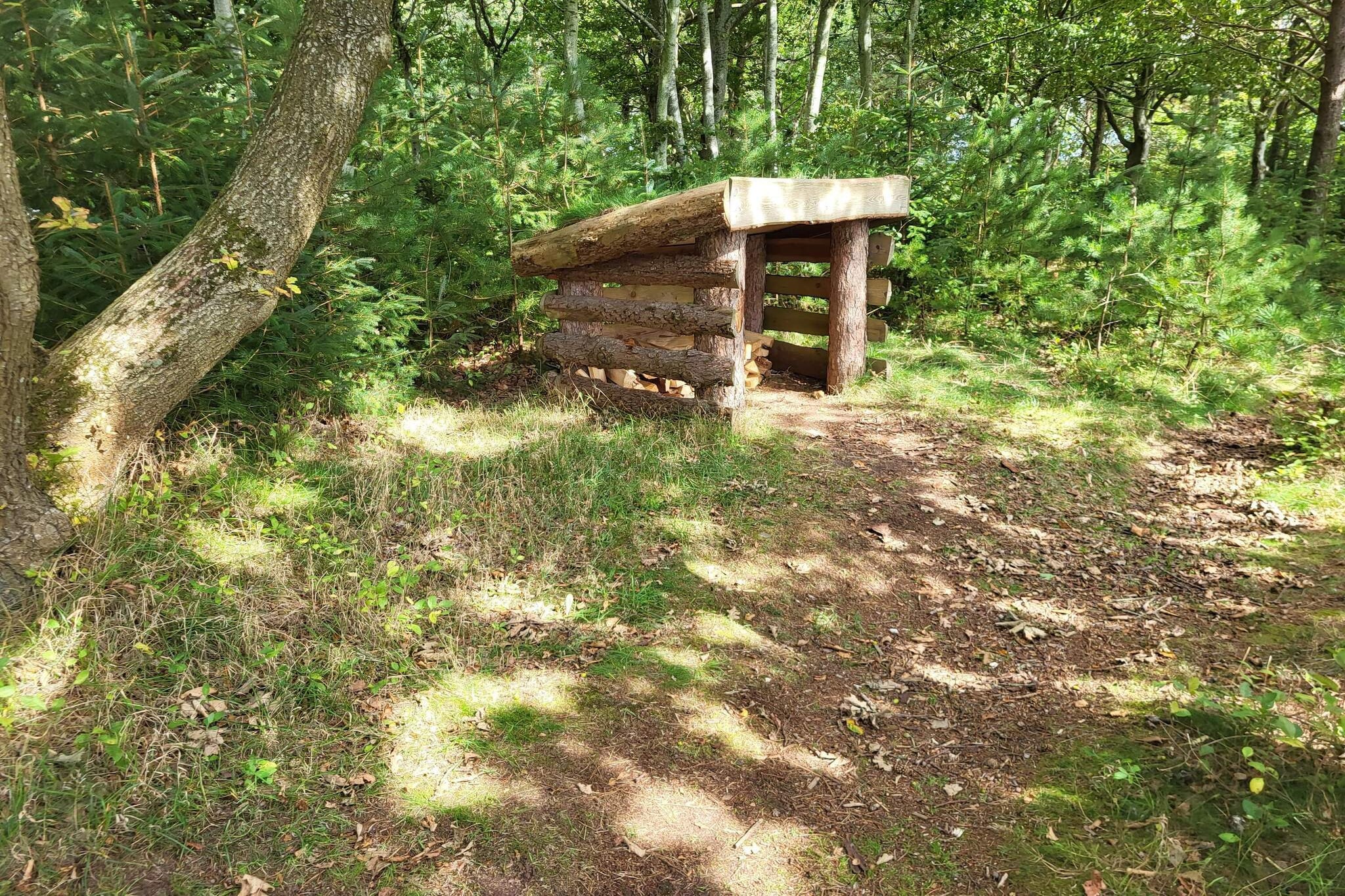 4 persoons vakantie huis in Oksbøl-By Traum-Niet-getagd