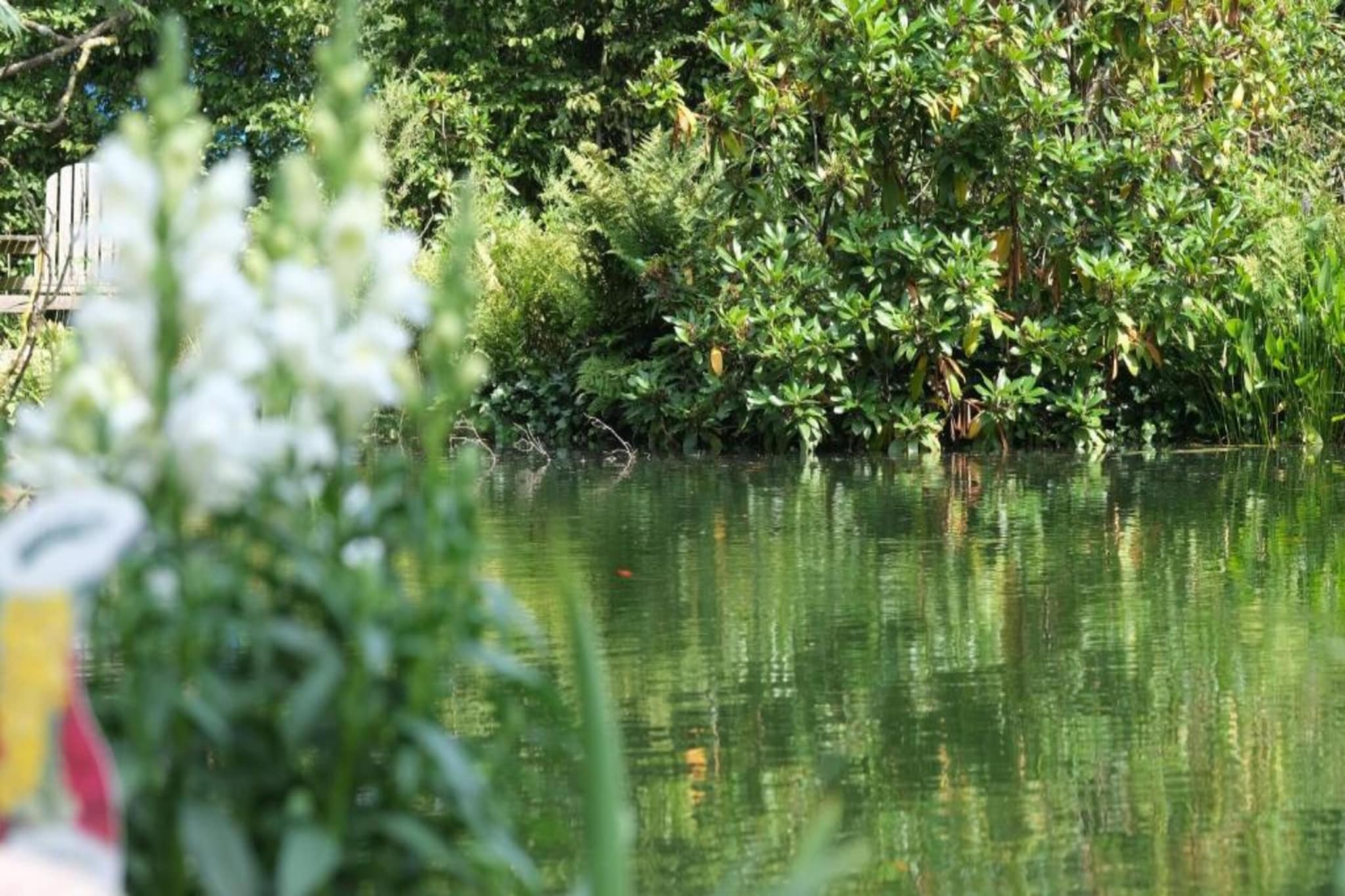 Bospark Markelo 1-Areas summer 20km