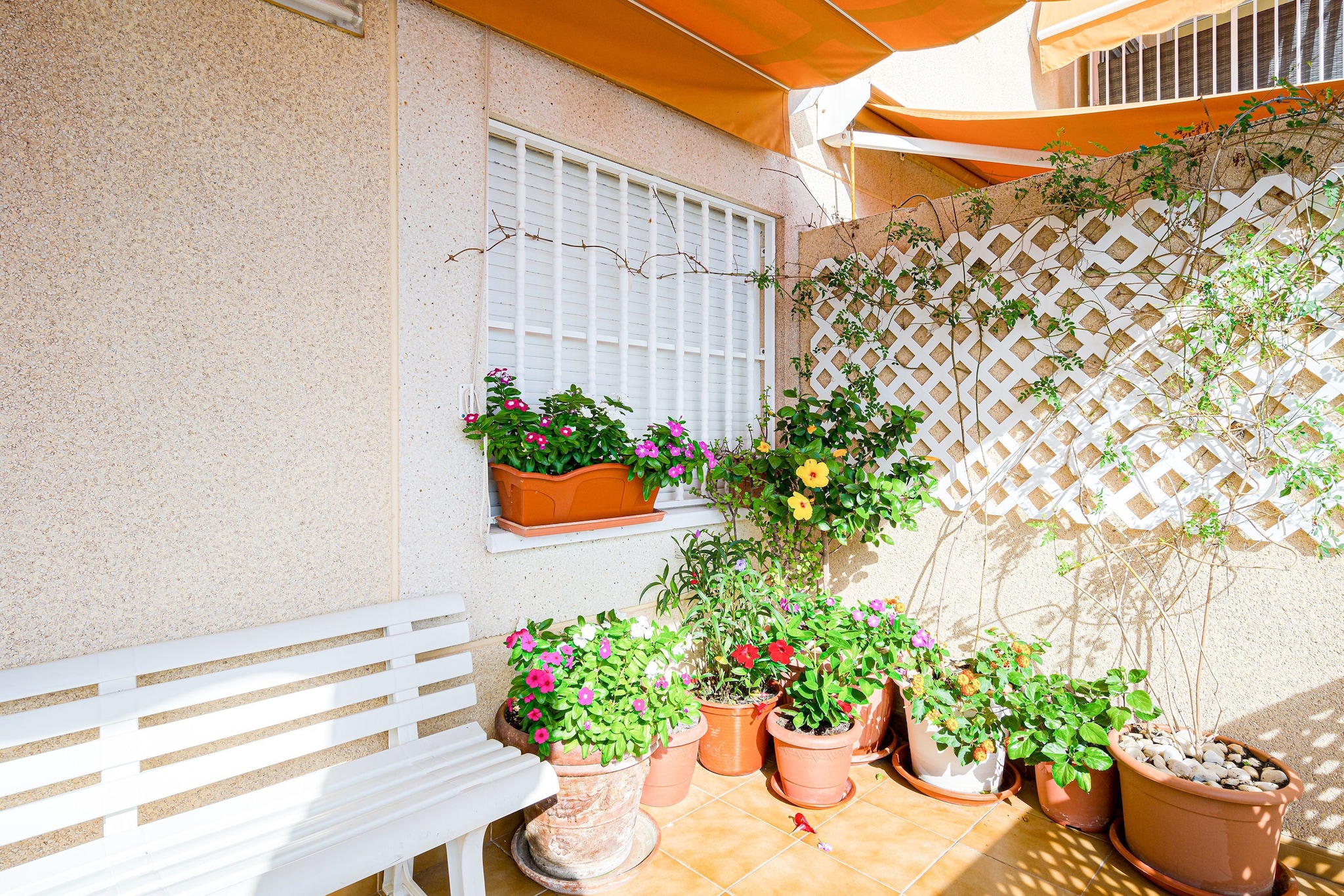 Apartamento Columbretes-Garten Sommer