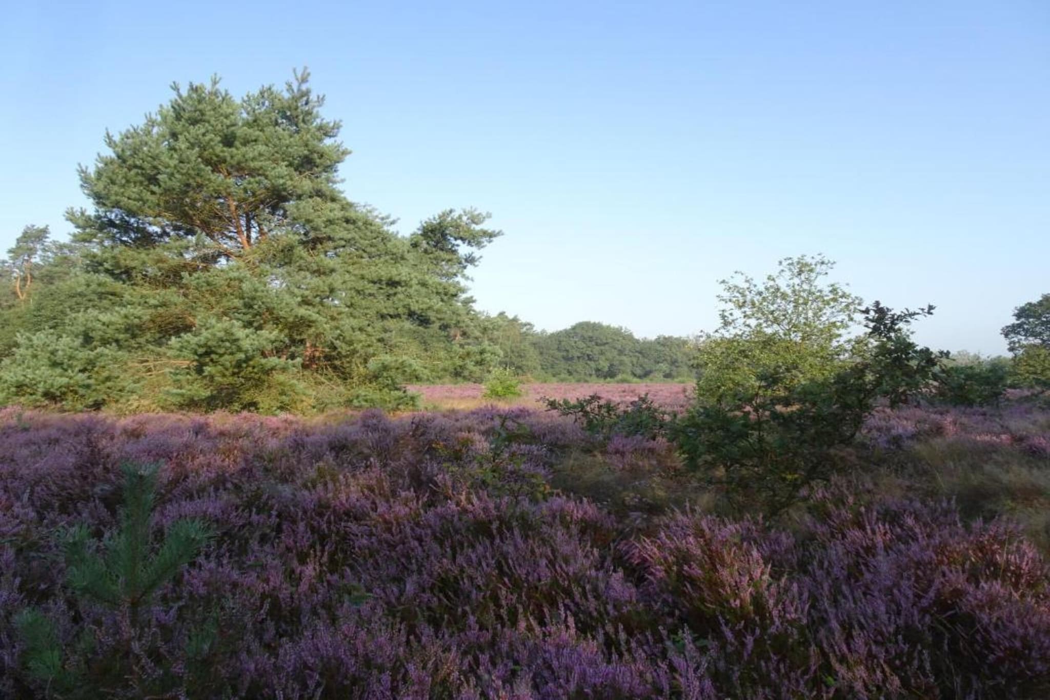 Reewold-Zones d'été à 20 km