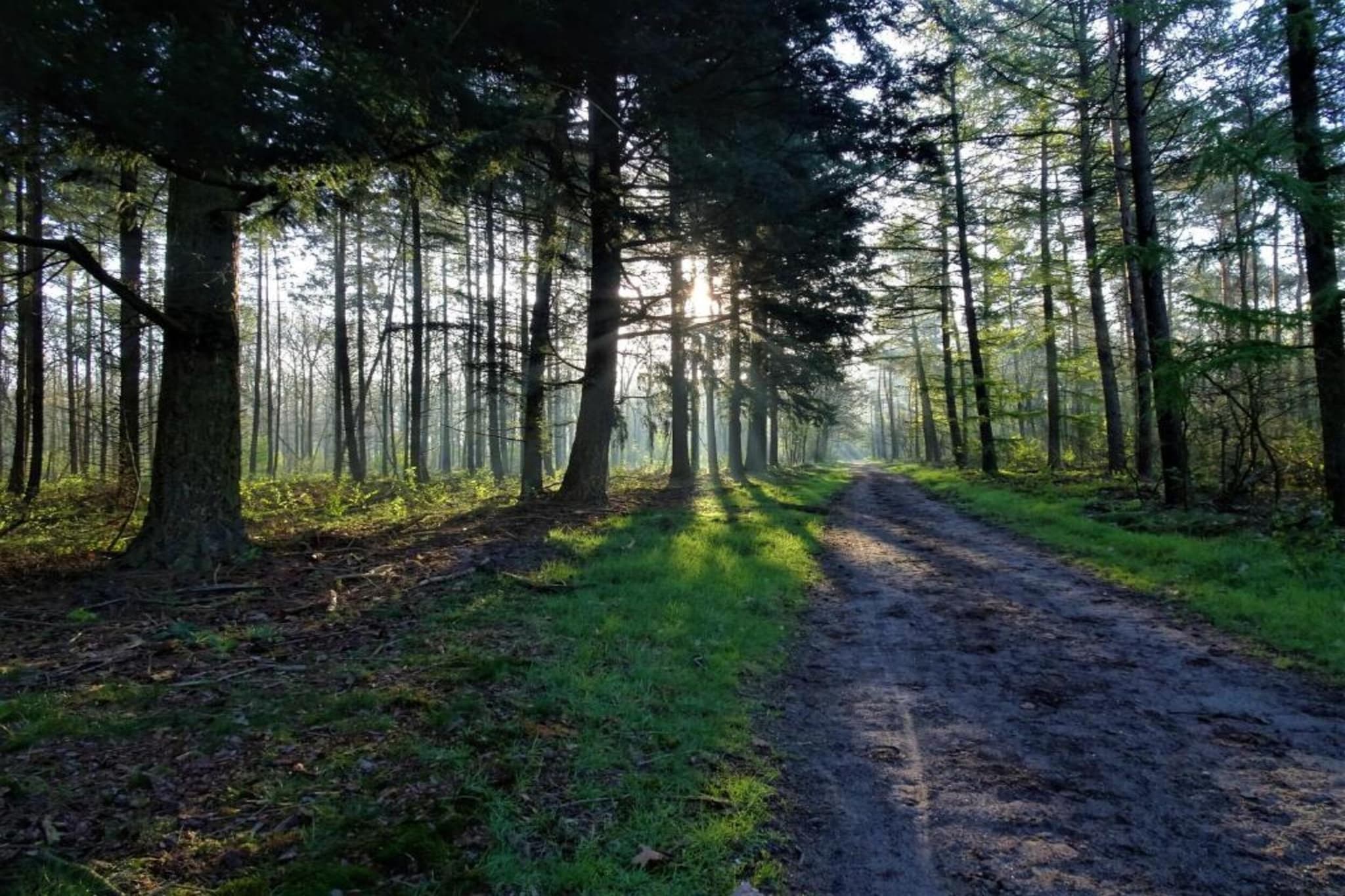 Reewold-Zones d'été à 20 km
