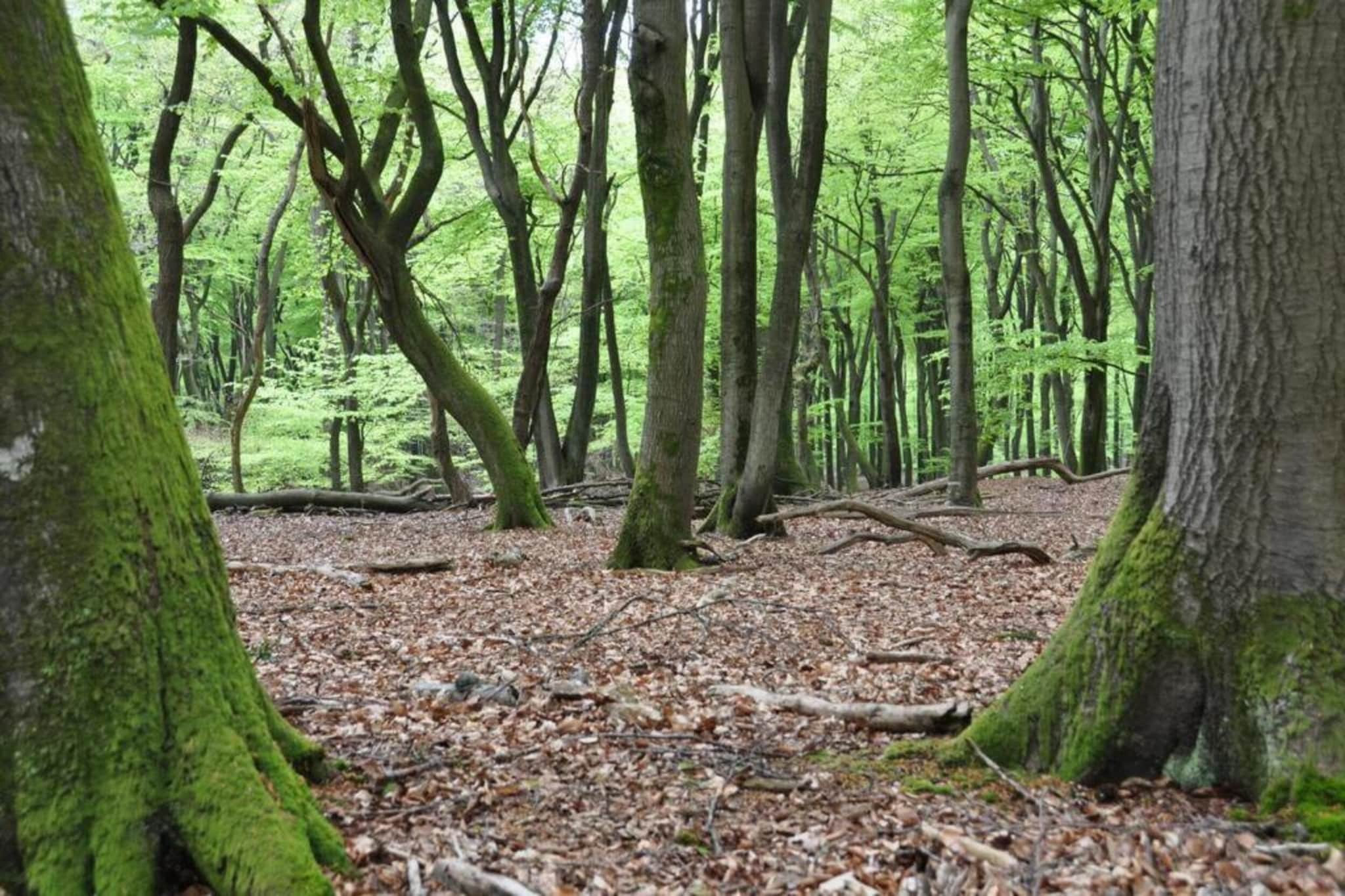 Reewold-Zones d'été à 20 km