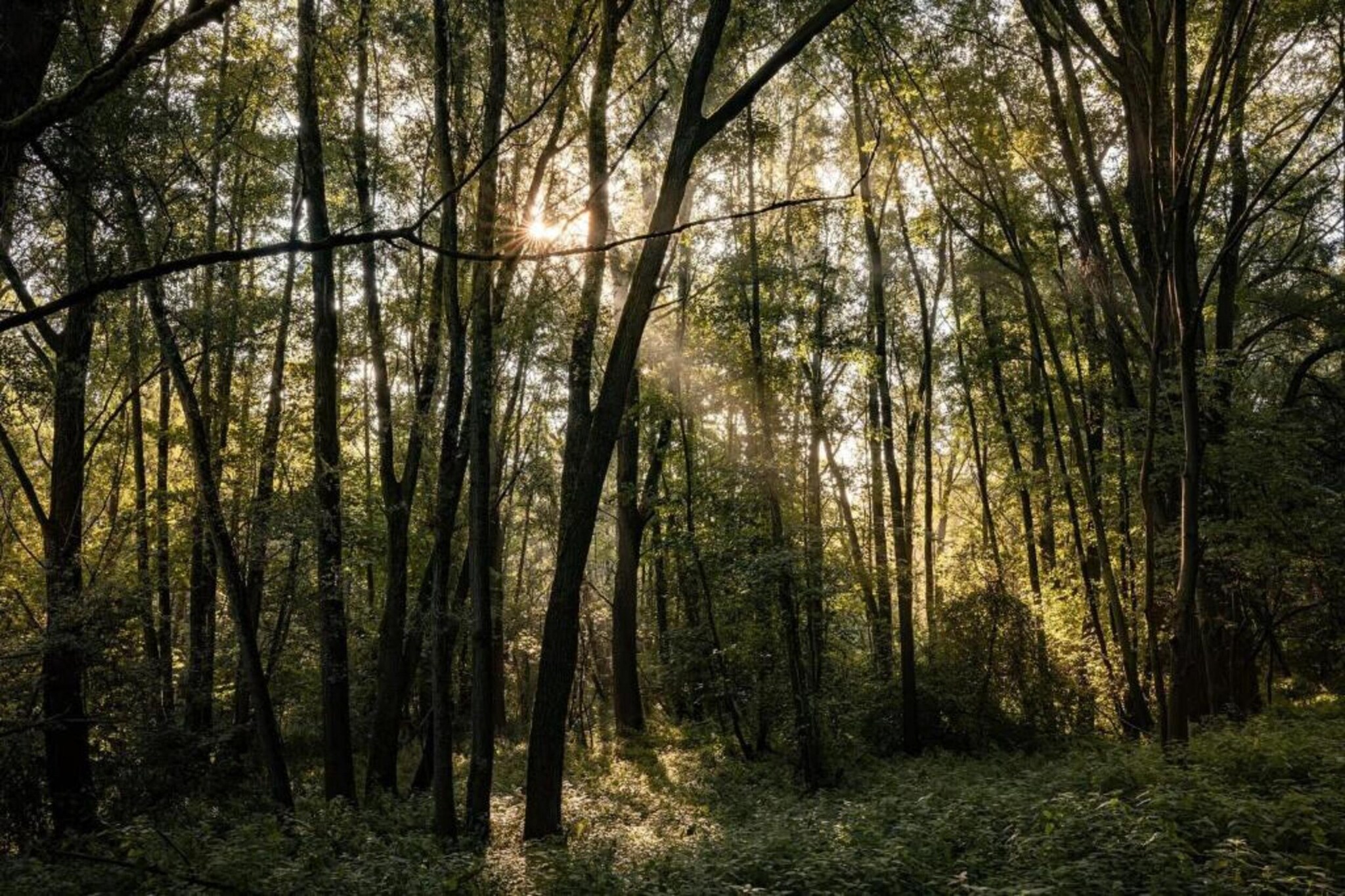 Reewold-Zones d'été à 20 km