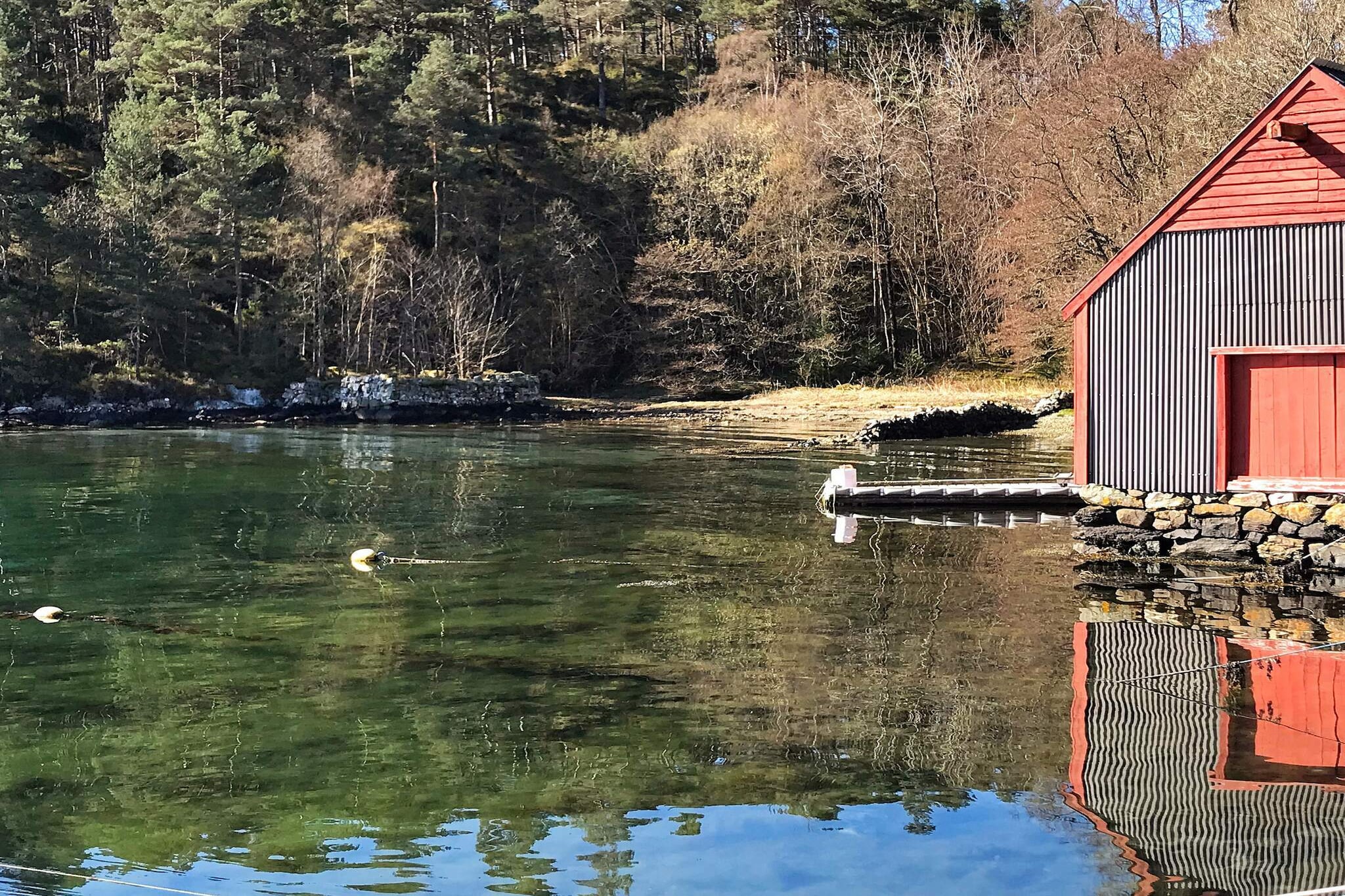 Water View