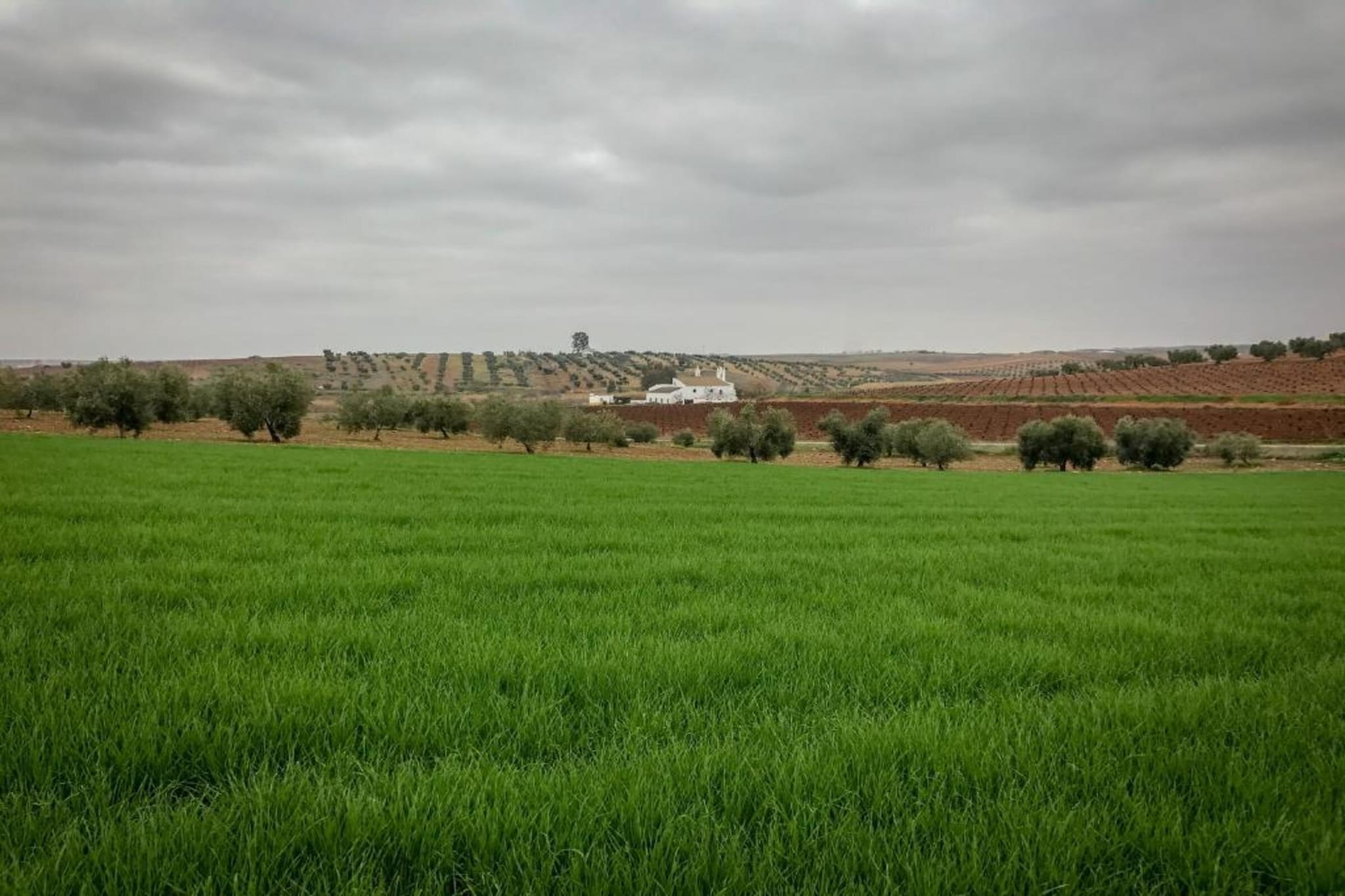 Villapark Ehzerburg 1-Gebieden zomer 20km