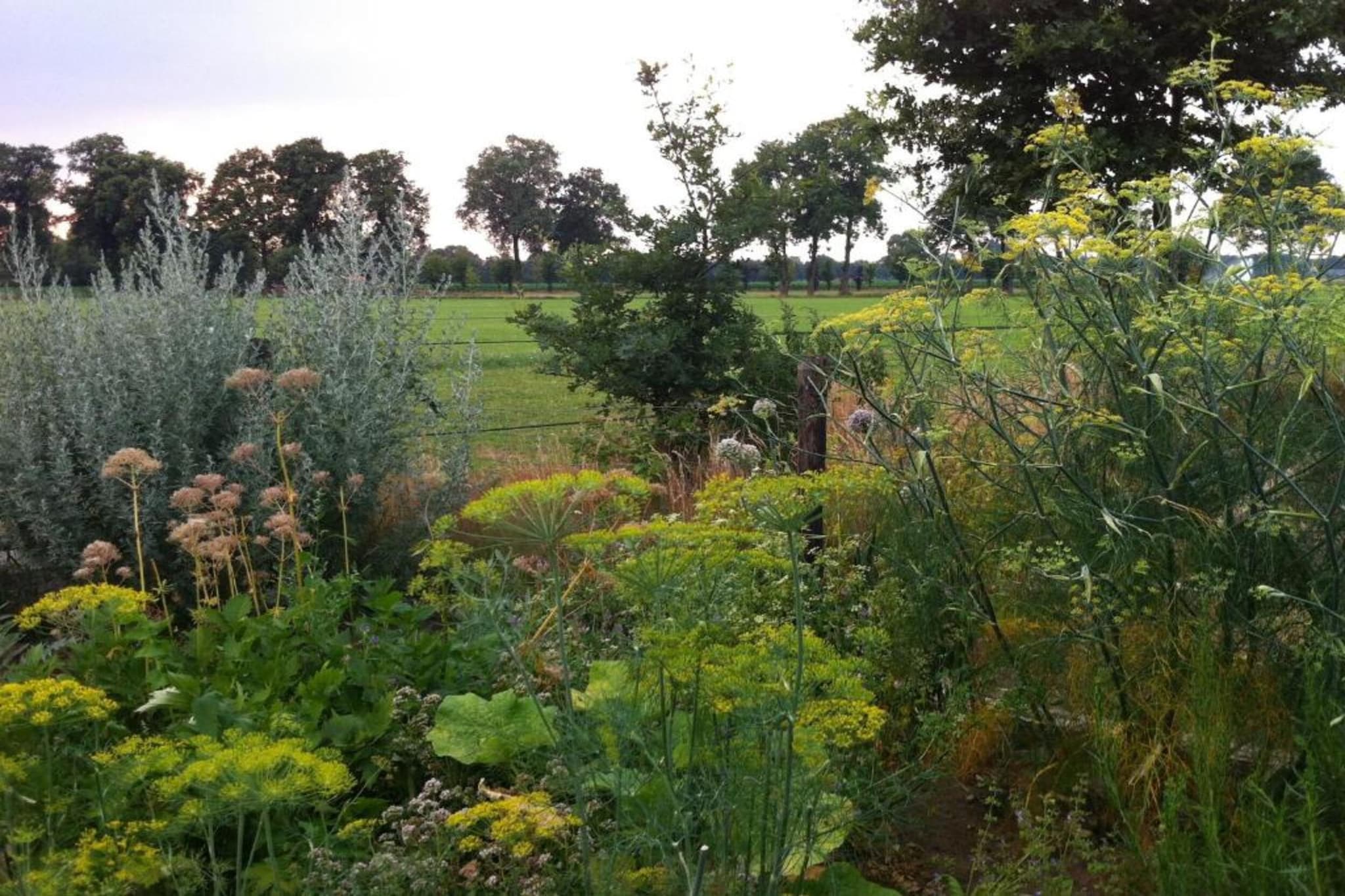 Bospark Markelo 2-Areas summer 20km