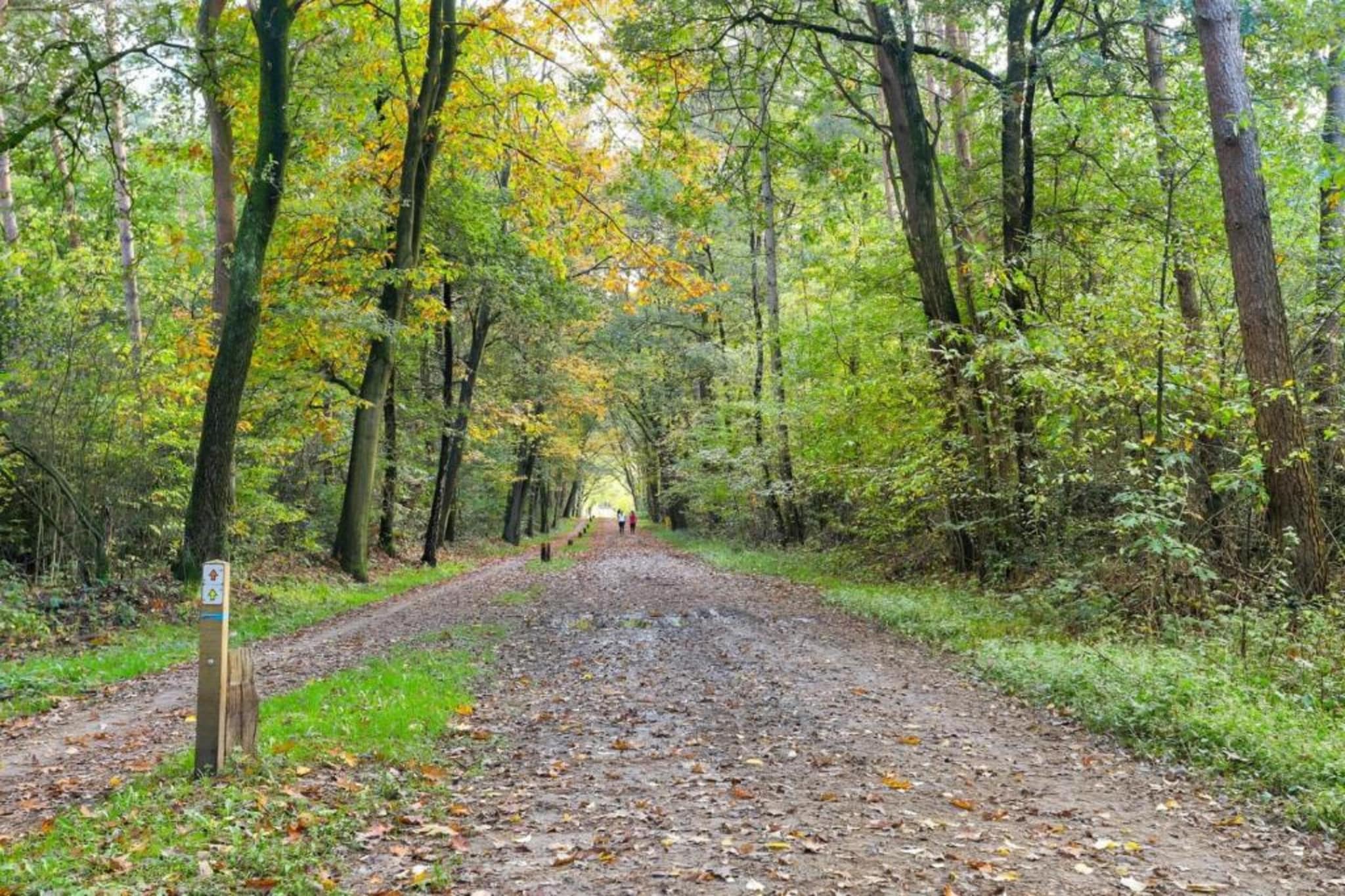Bospark Markelo 2-Areas summer 20km