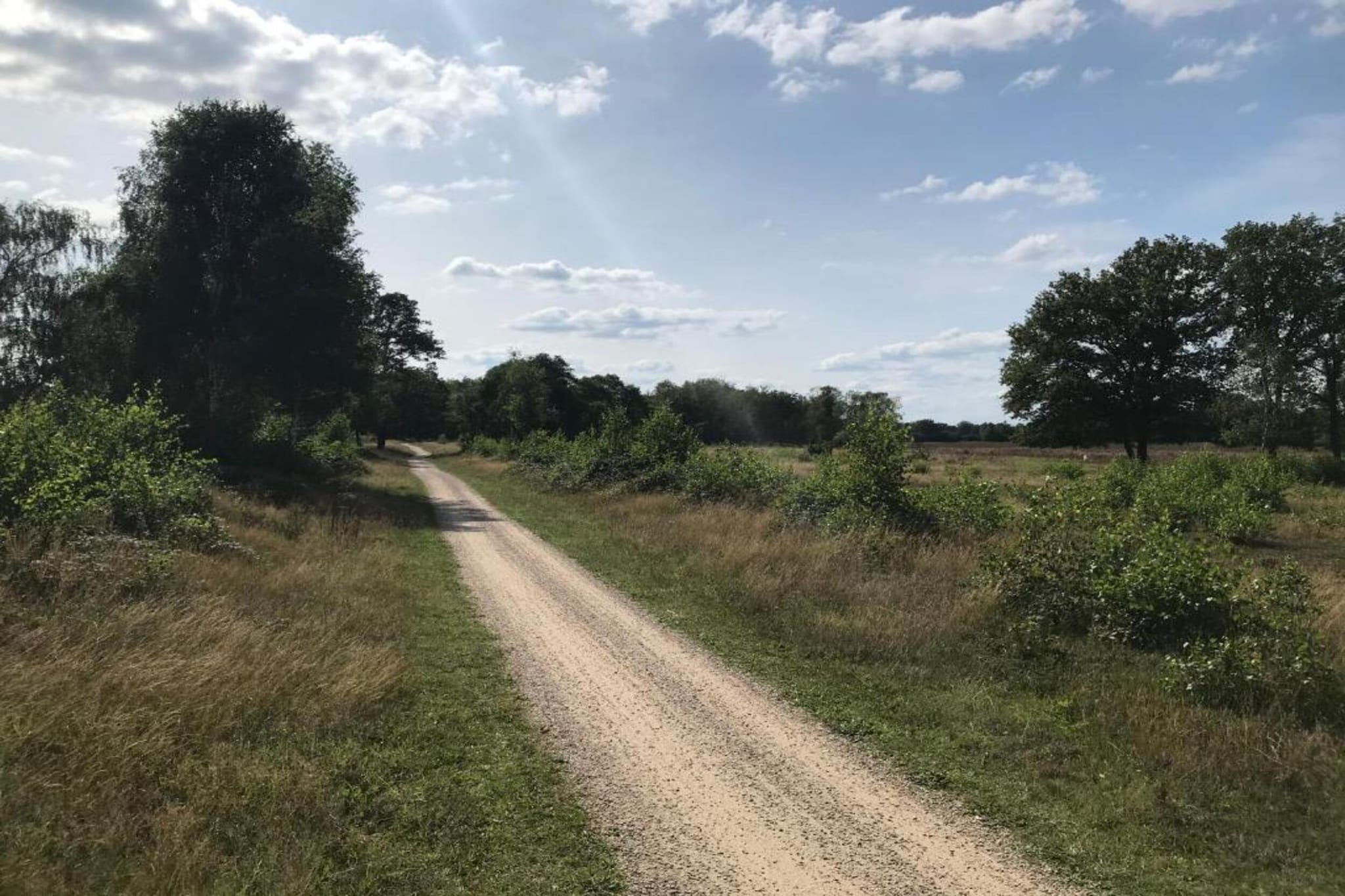 Bospark Markelo 2-Areas summer 20km