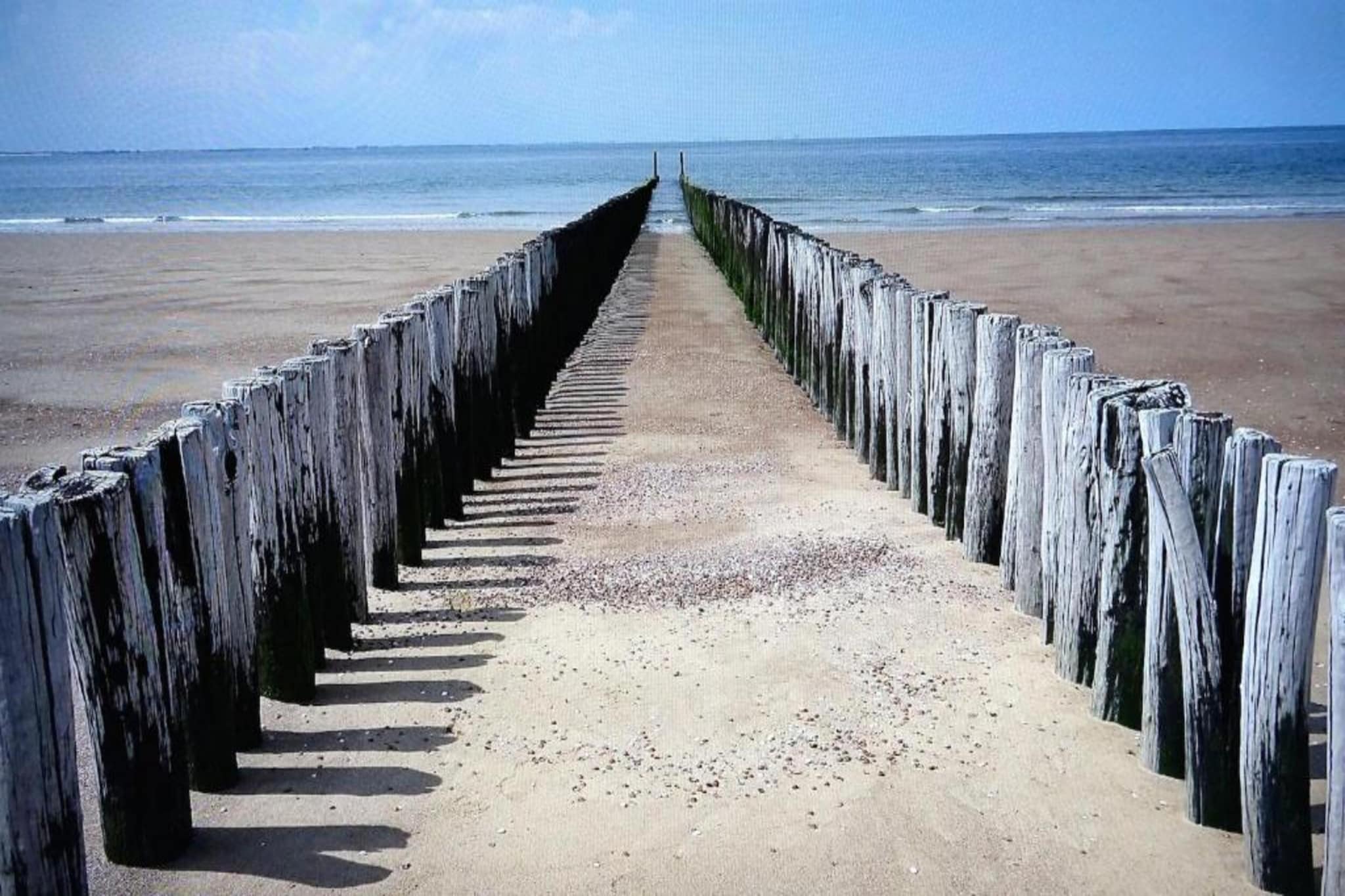 Noordzee Résidence Dishoek 12-Gebieden zomer 5km