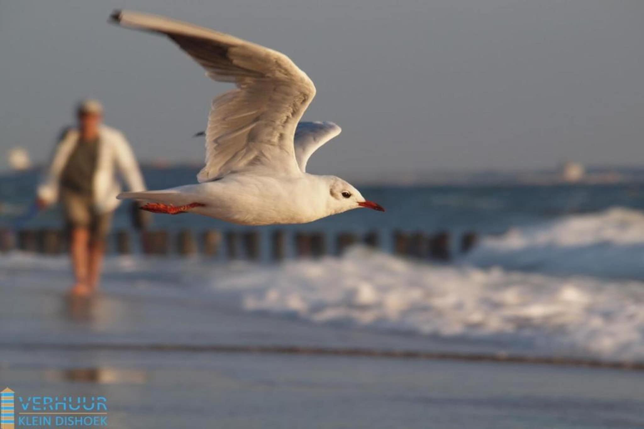 Noordzee Résidence Dishoek 12-Sfeer