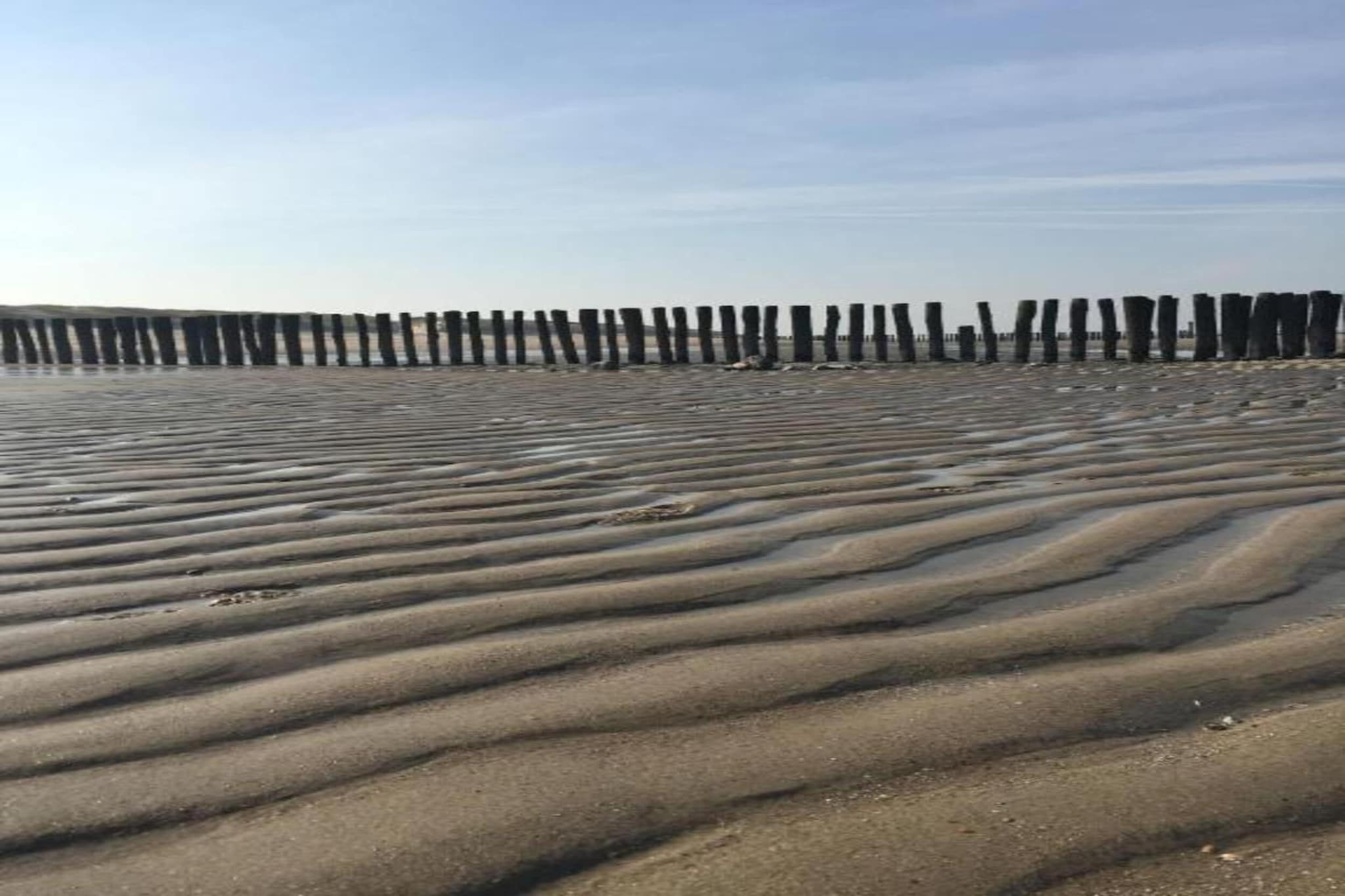 Noordzee Résidence Dishoek 12-Gebieden zomer 5km