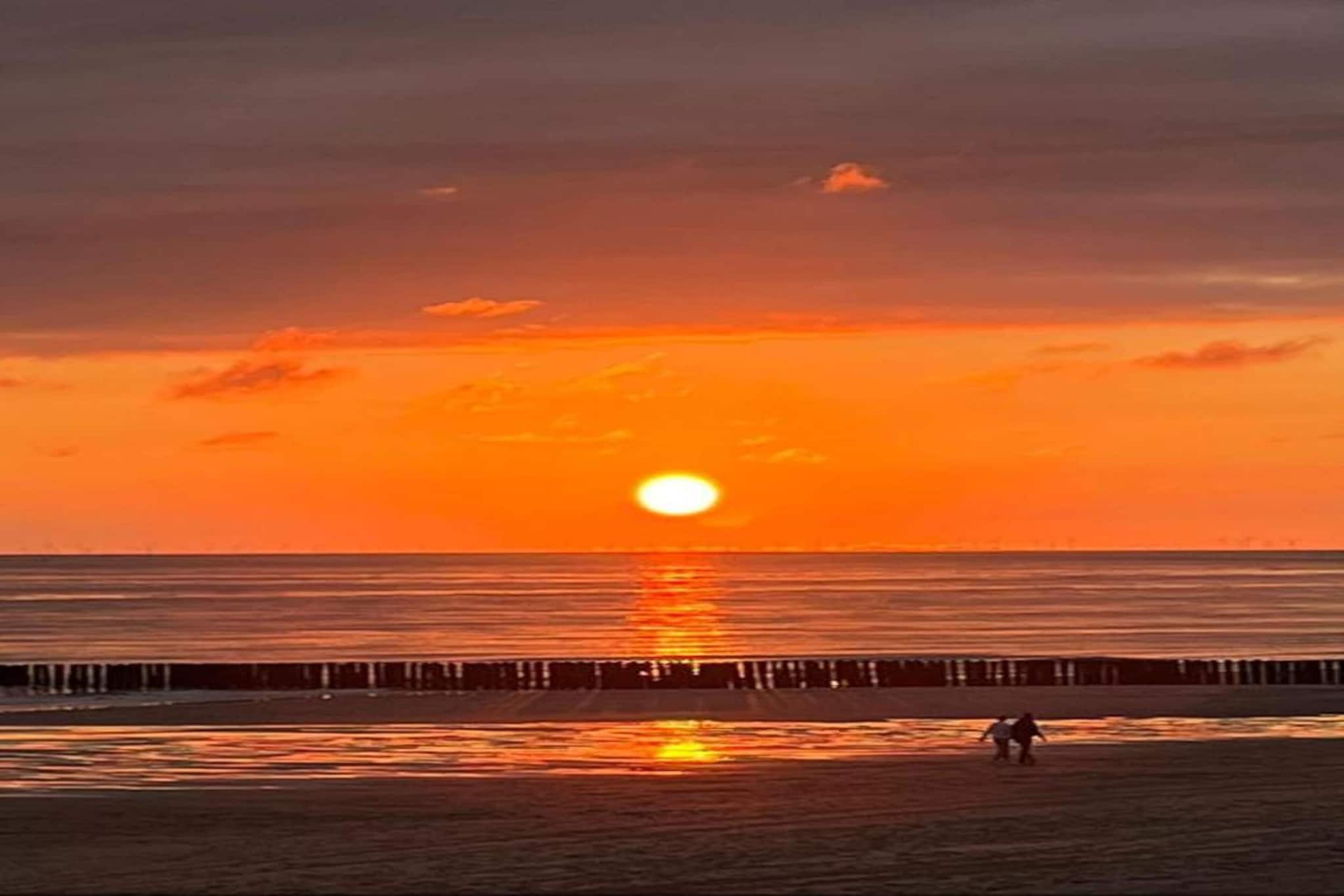 Noordzee Résidence Dishoek 12-Gebieden zomer 5km
