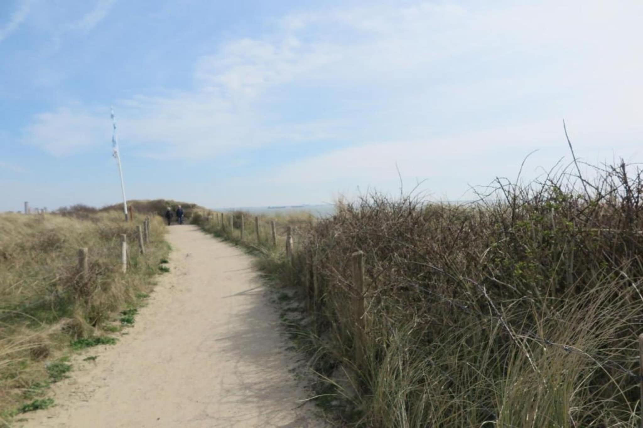 Noordzee Résidence Dishoek 12-Gebieden zomer 5km