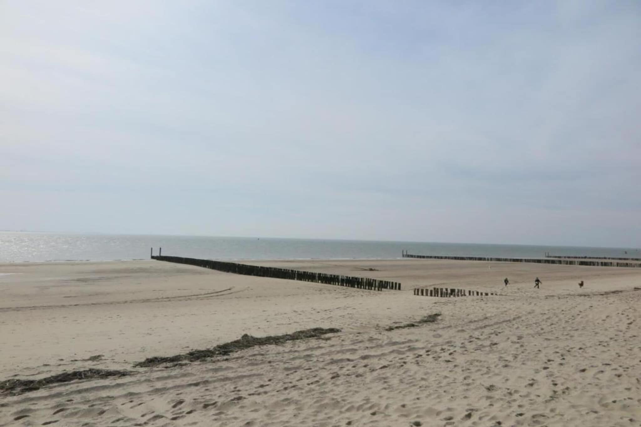 Noordzee Résidence Dishoek 12-Gebieden zomer 5km