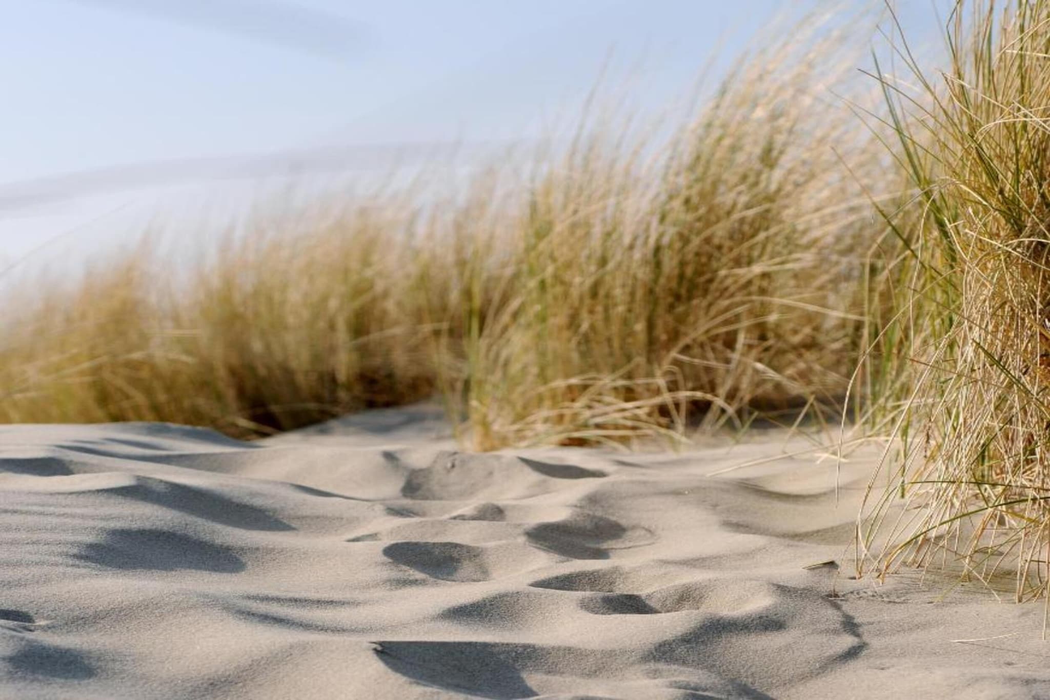 Noordzee Résidence Dishoek 12-Sfeer