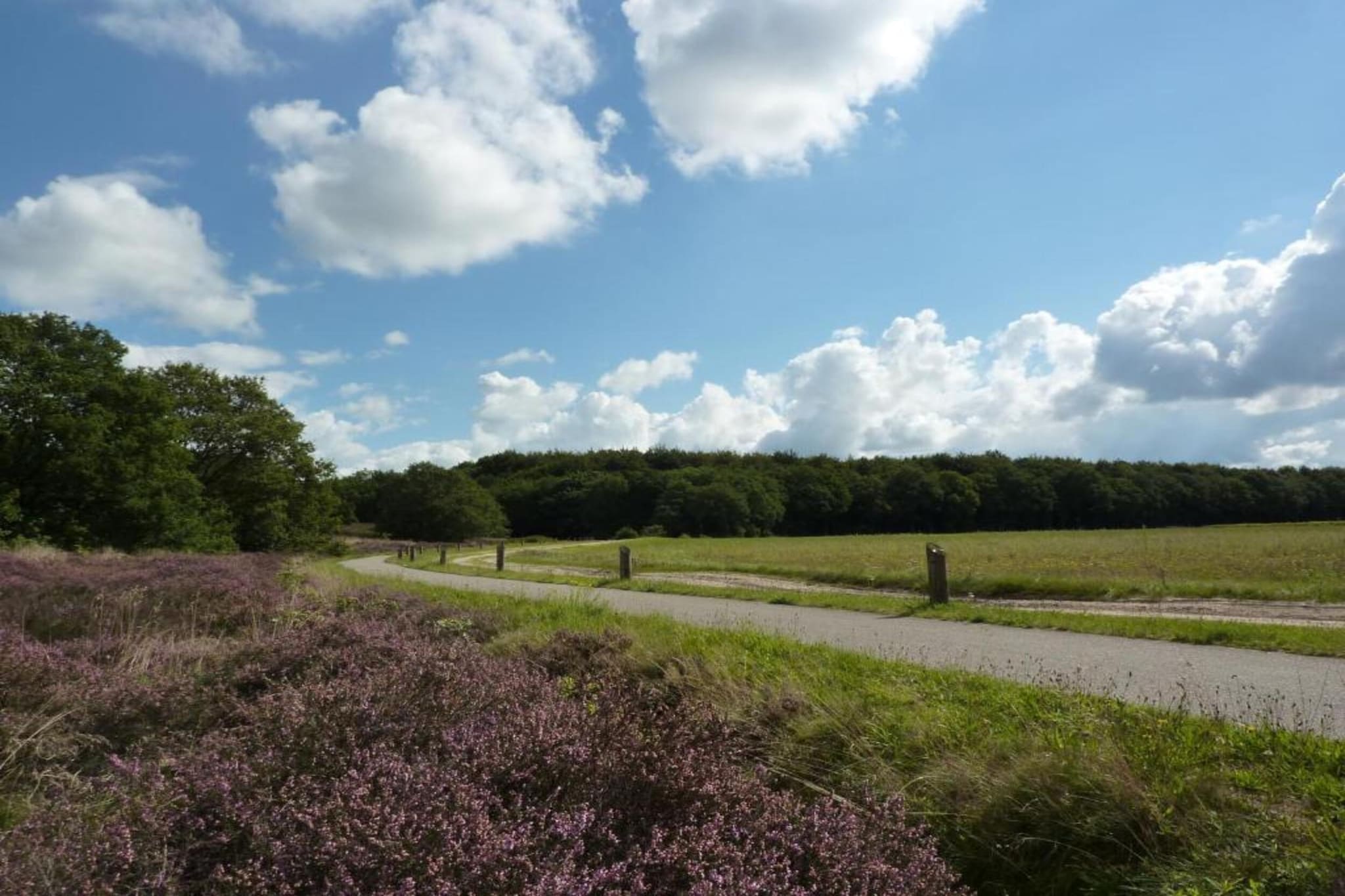 Vakantiepark Hunzedal 12-Gebieden zomer 20km