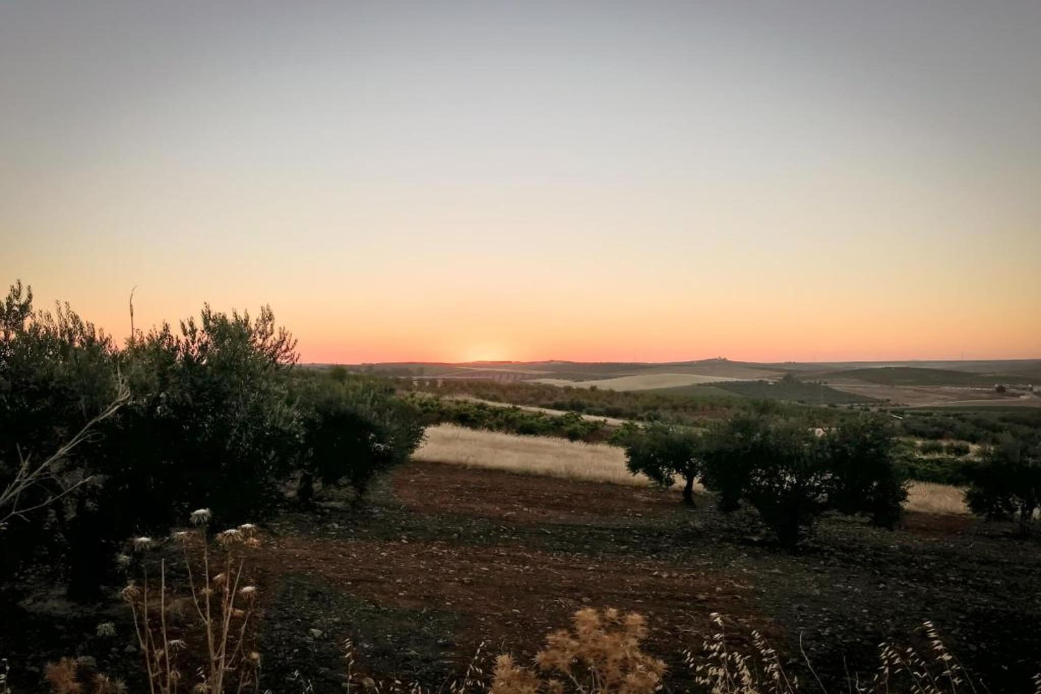 Villapark Ehzerburg 2-Gebieden zomer 20km