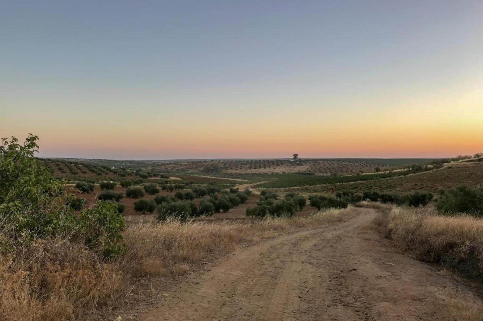 Villapark Ehzerburg 2-Gebieden zomer 20km
