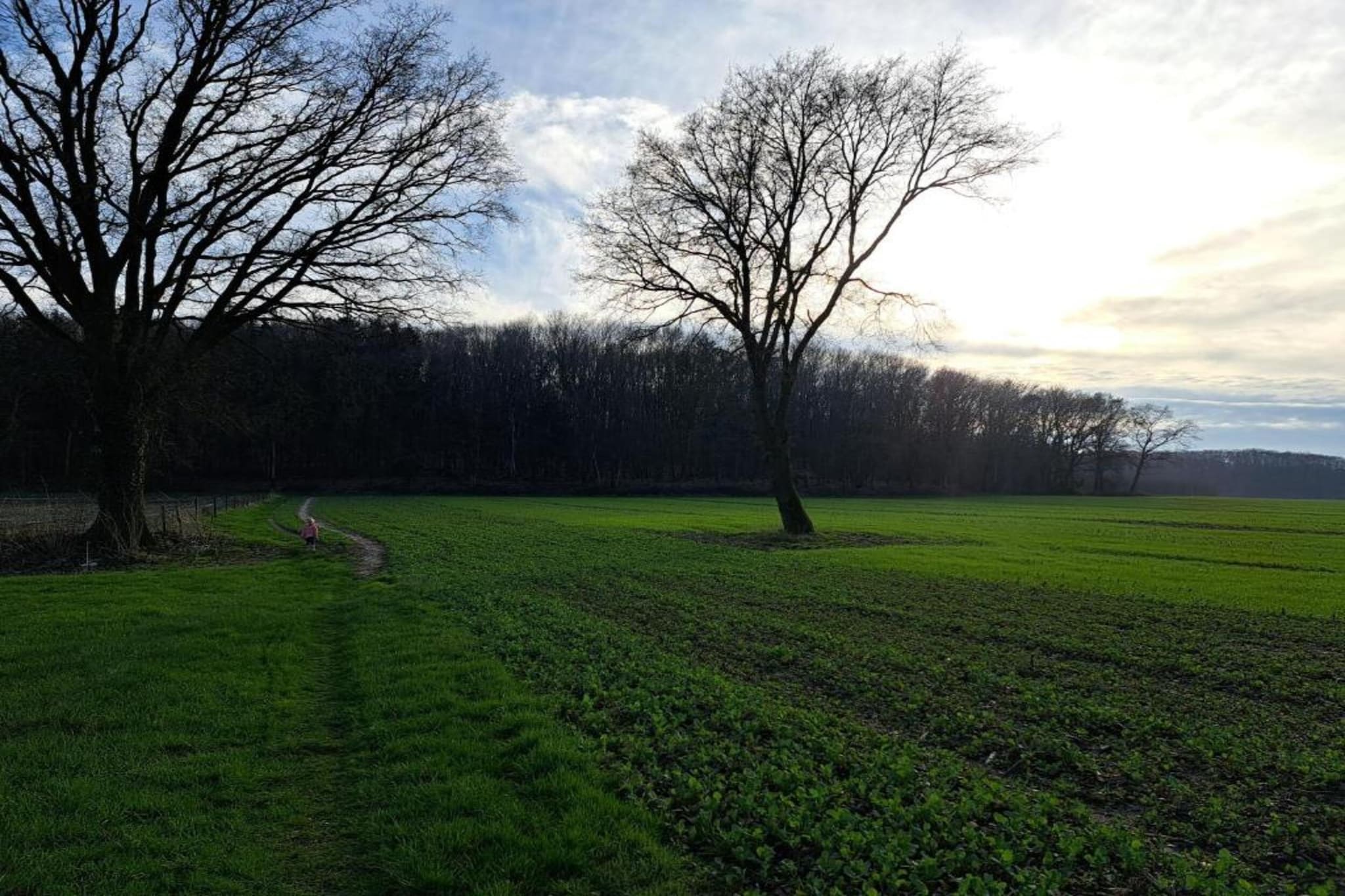 Villapark Ehzerburg 2-Gebieden zomer 20km